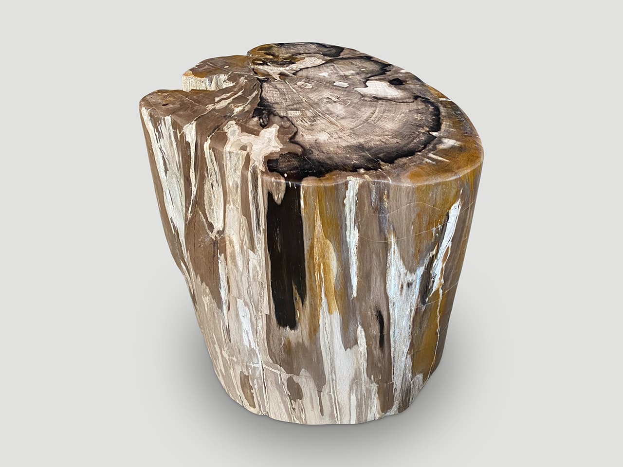 ancient petrified wood side table