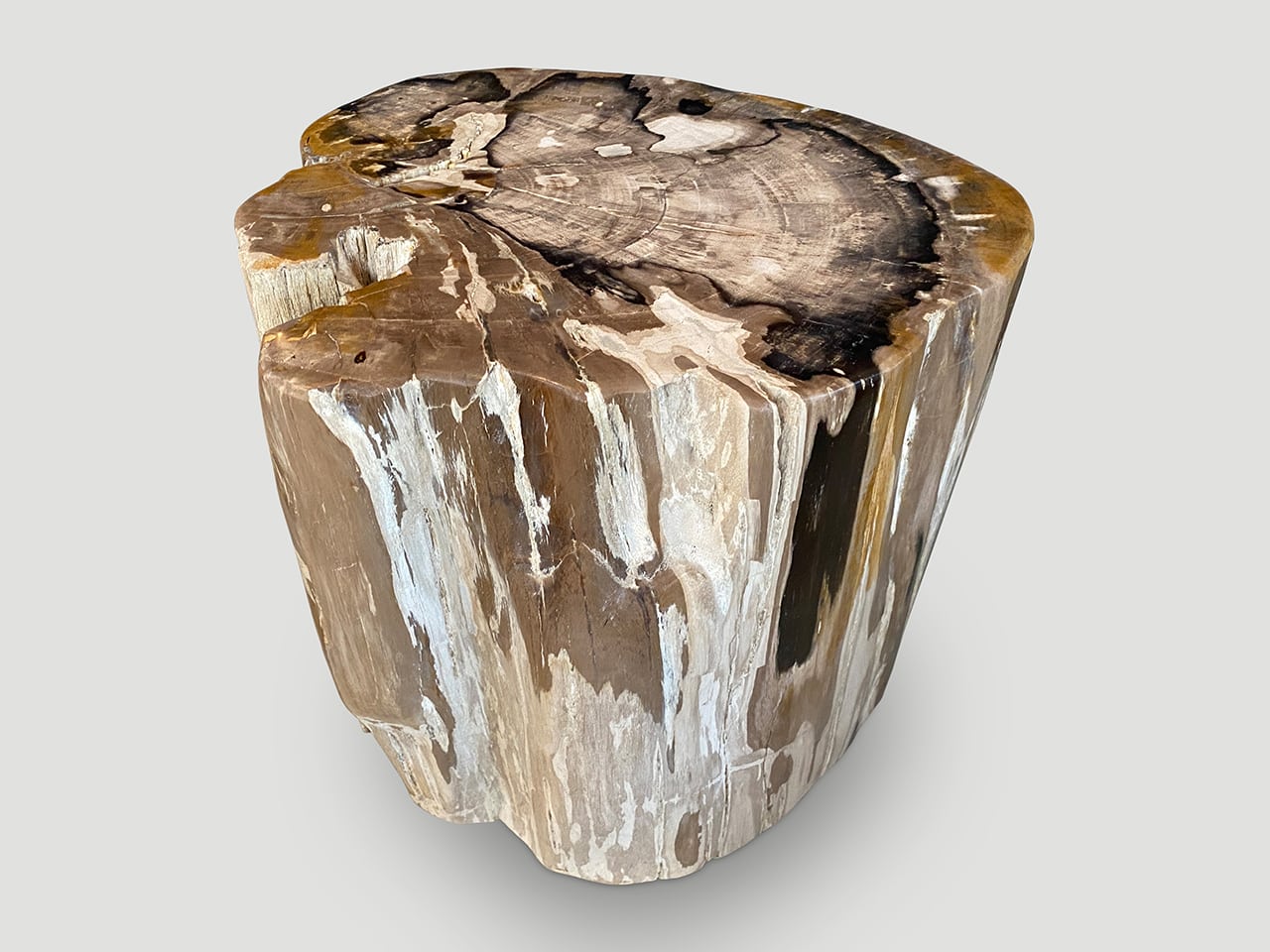 ancient petrified wood side table