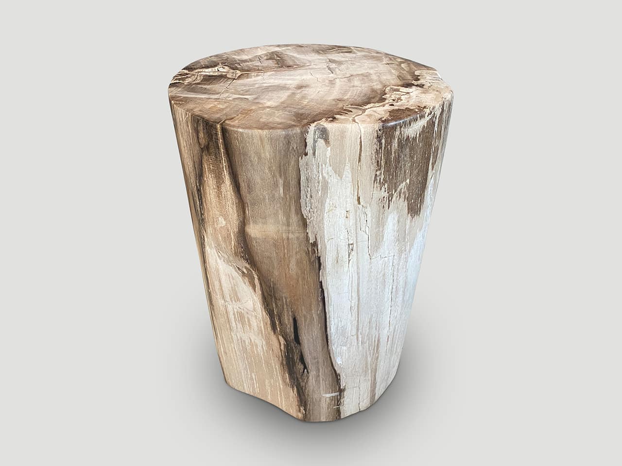 petrified wood side table
