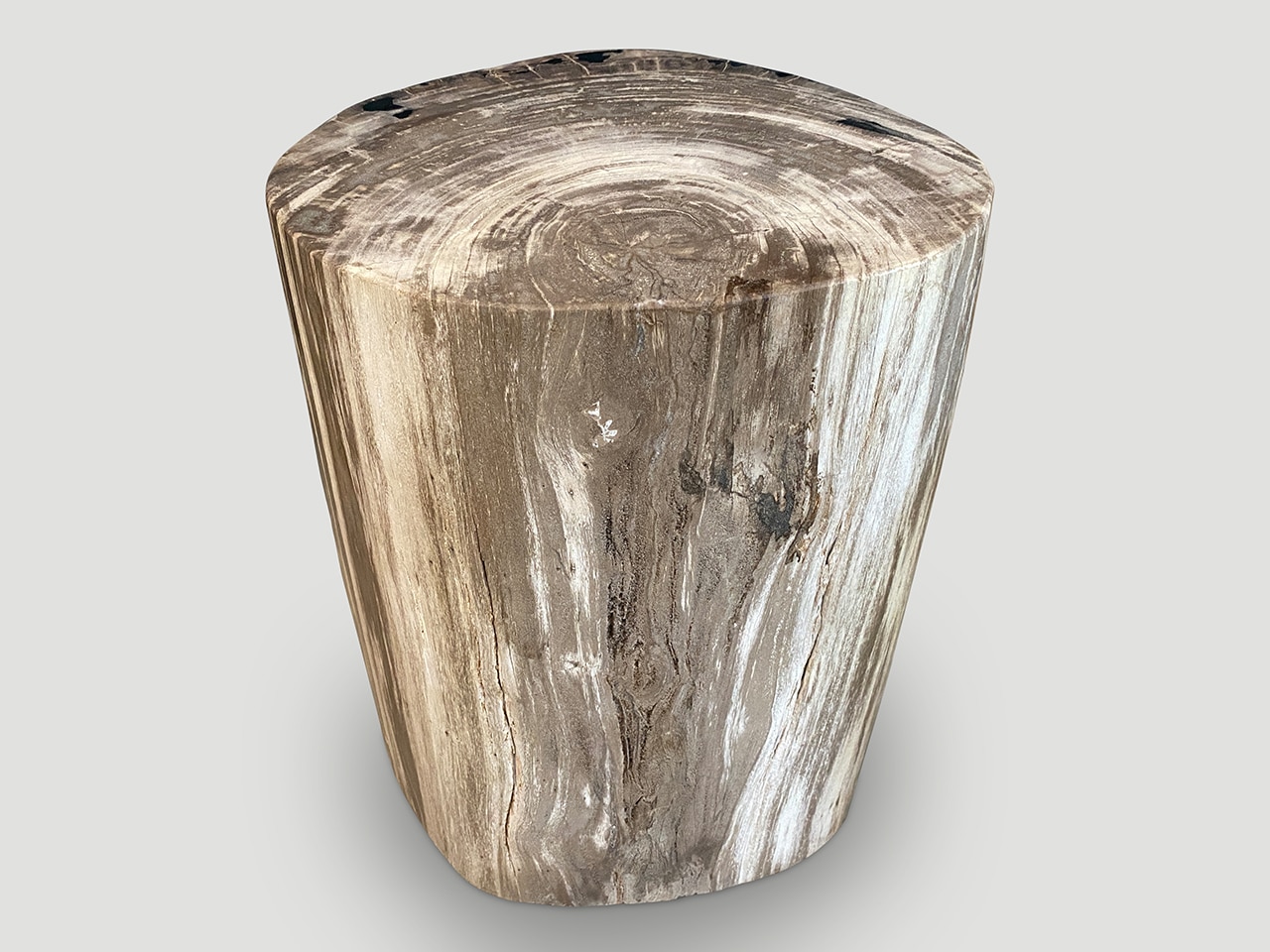 high quality petrified wood side table