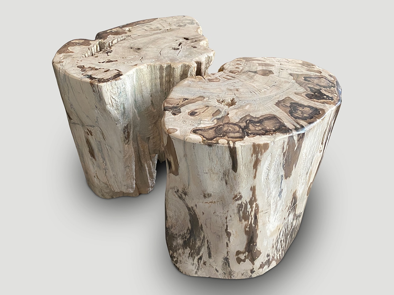 ancient petrified wood side table or coffee table