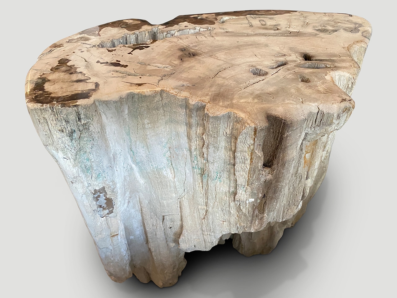 ancient petrified wood side table or coffee table