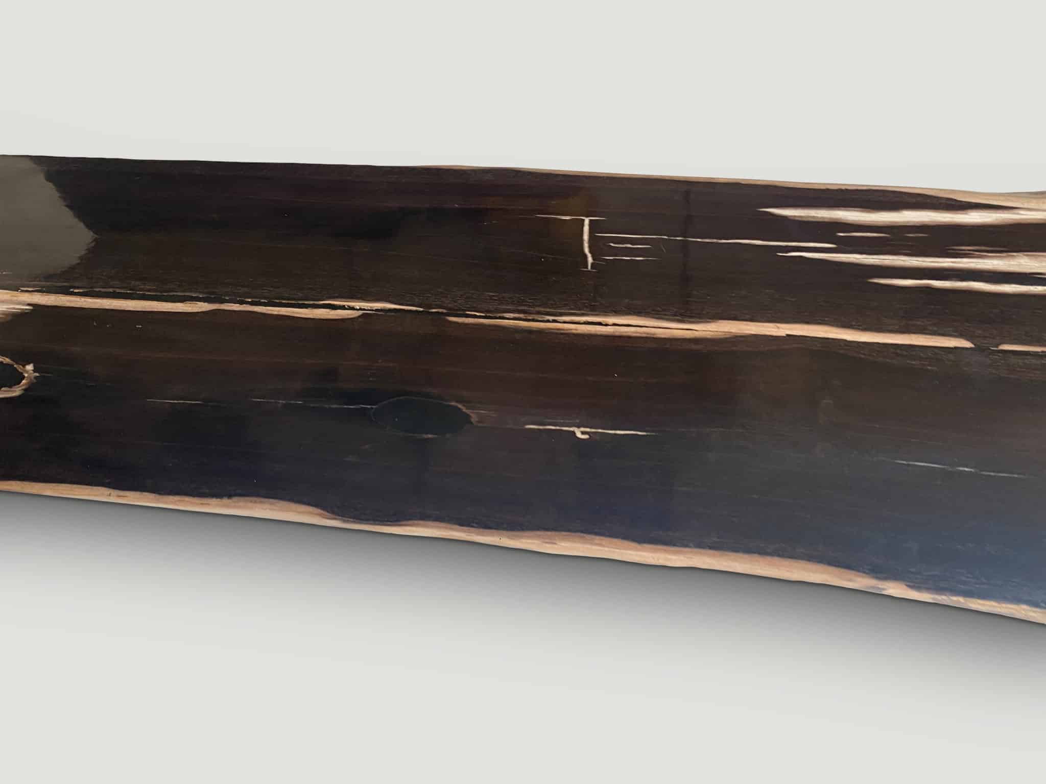 large exquisite petrified wood slab