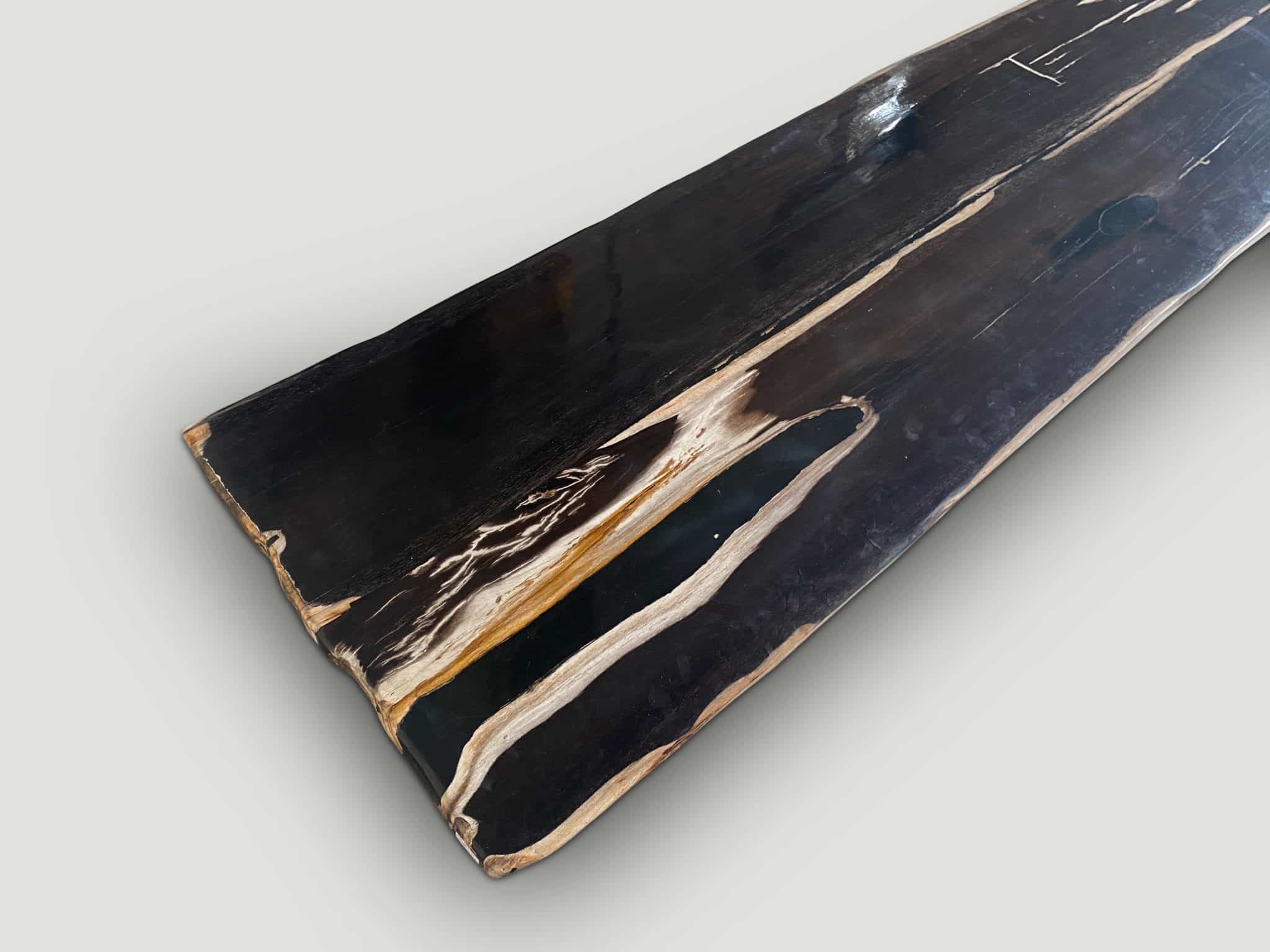 large exquisite petrified wood slab
