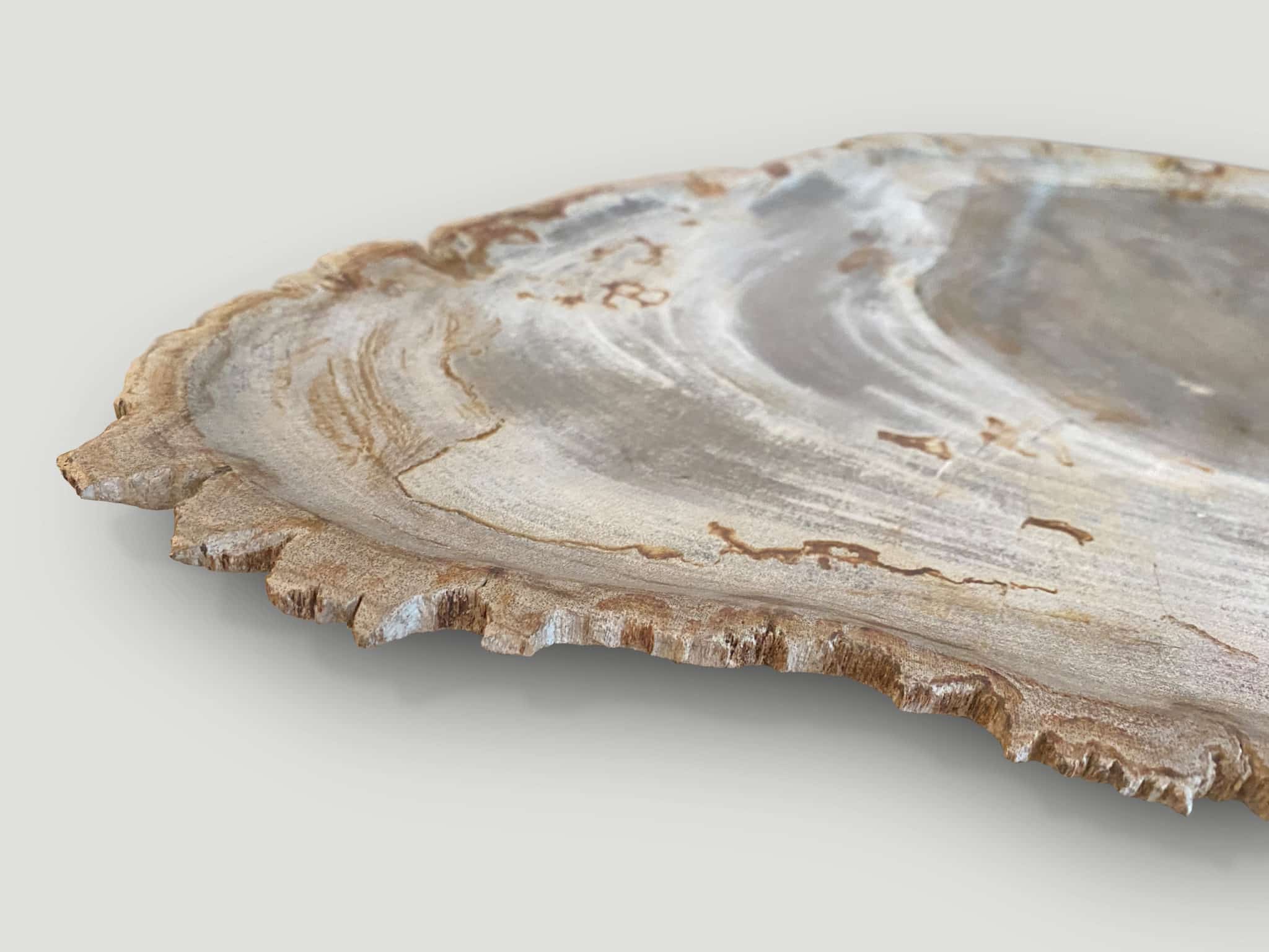 petrified wood shallow dish