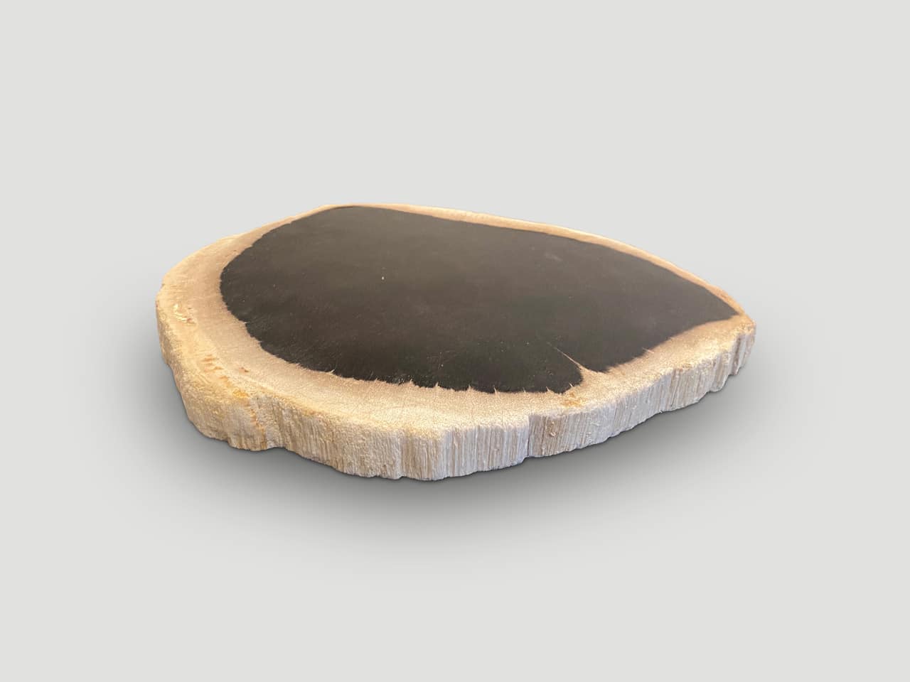 super smooth minimalist black and white petrified wood