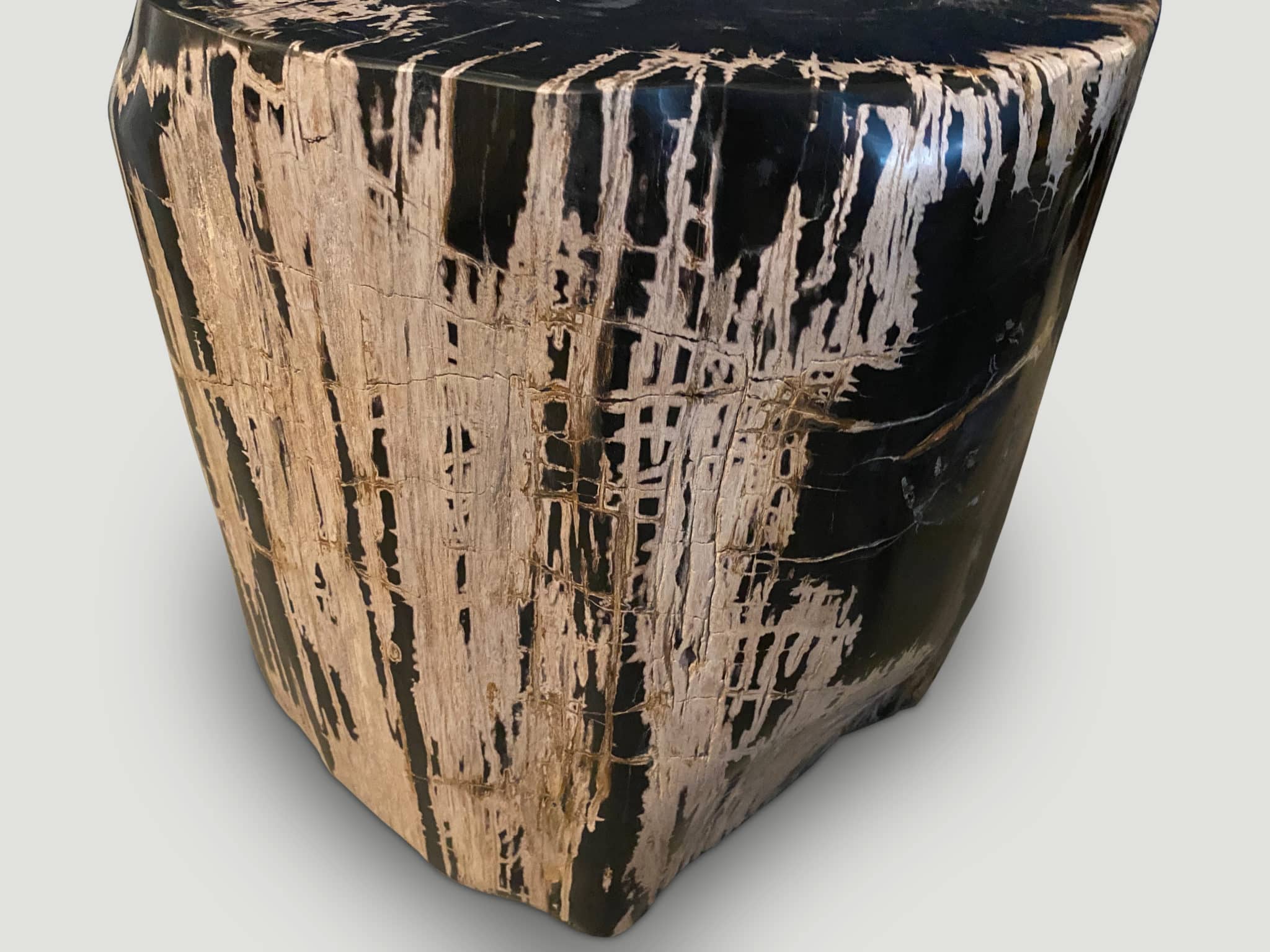 ancient sculptural petrified wood side table