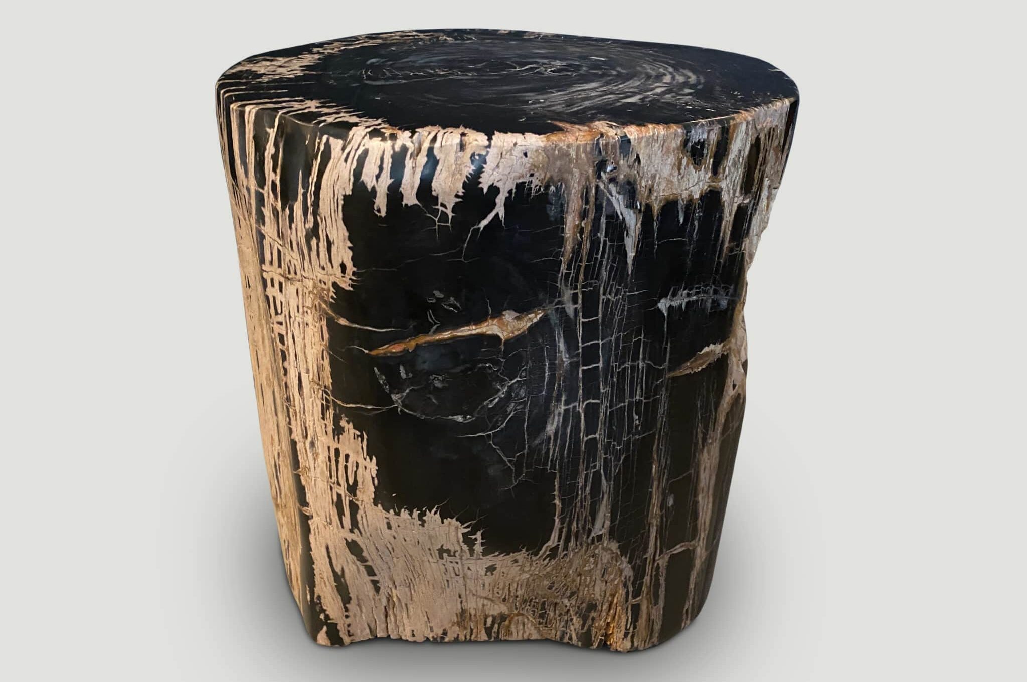 ancient sculptural petrified wood side table