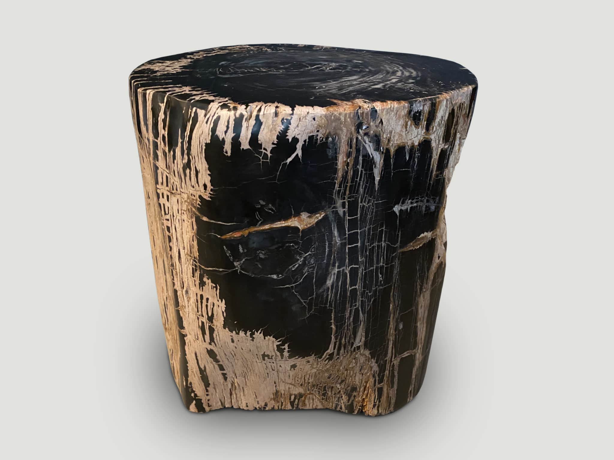 ancient sculptural petrified wood side table