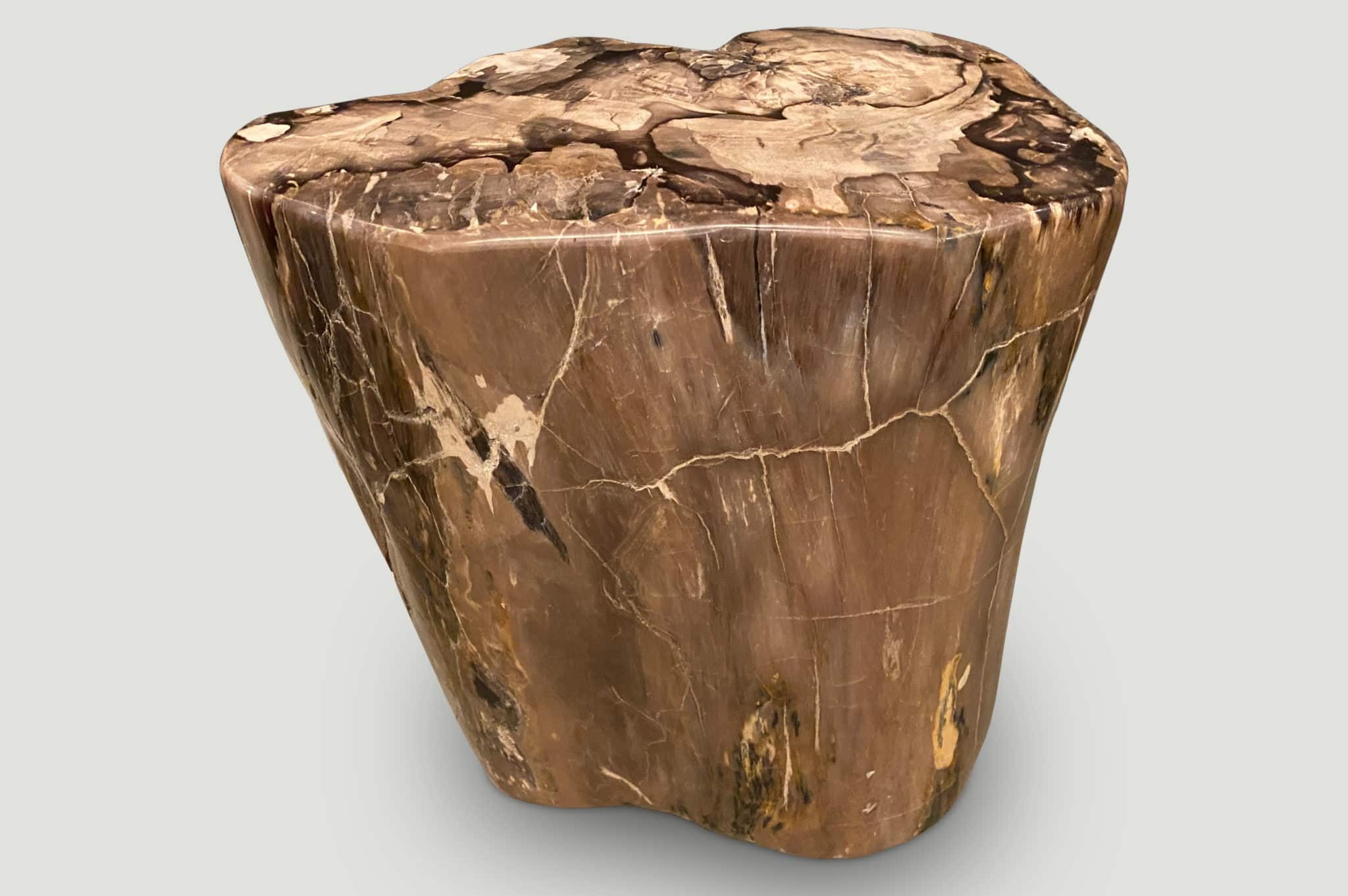 petrified wood side table