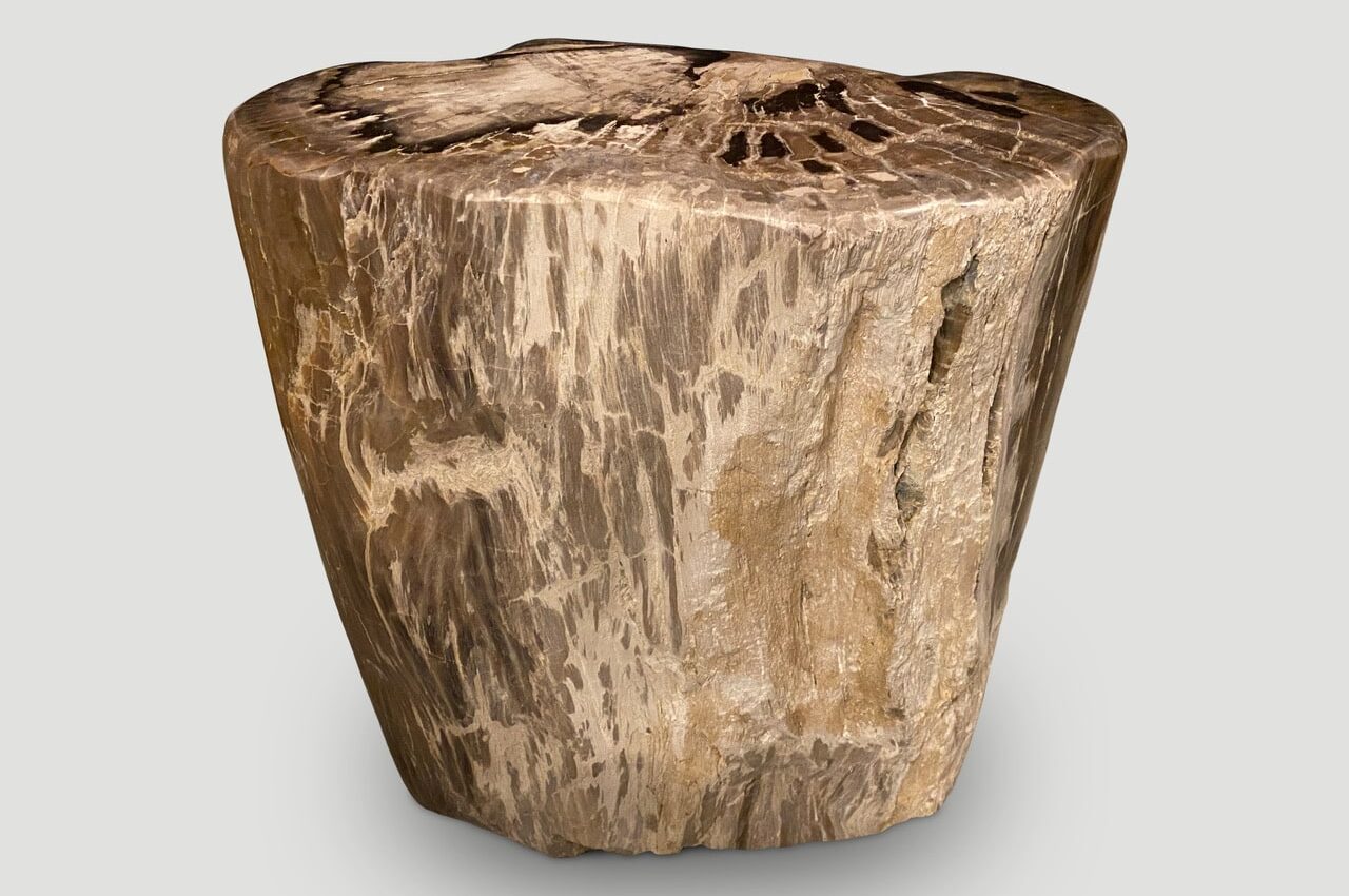 ancient petrified wood side table