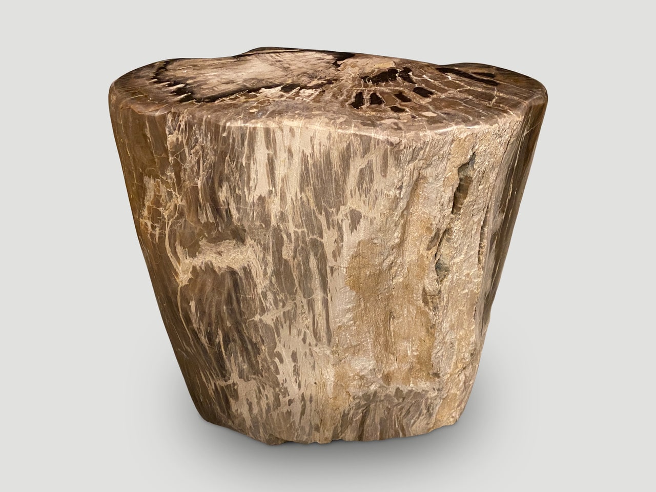 ancient petrified wood side table