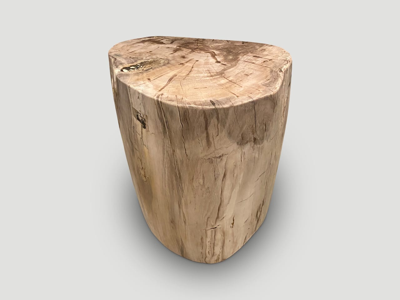high quality petrified wood side table