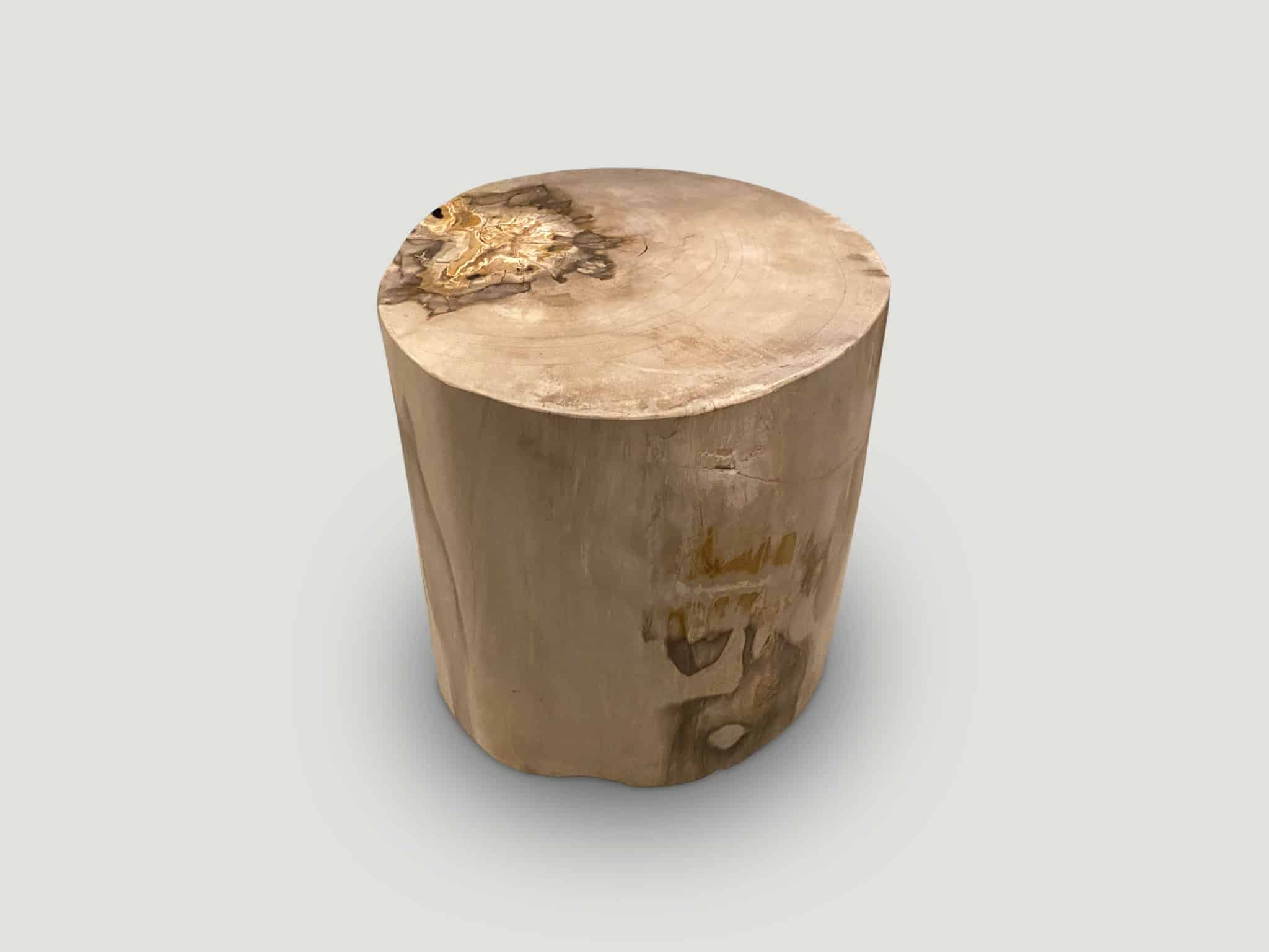 high quality super smooth, petrified wood side table