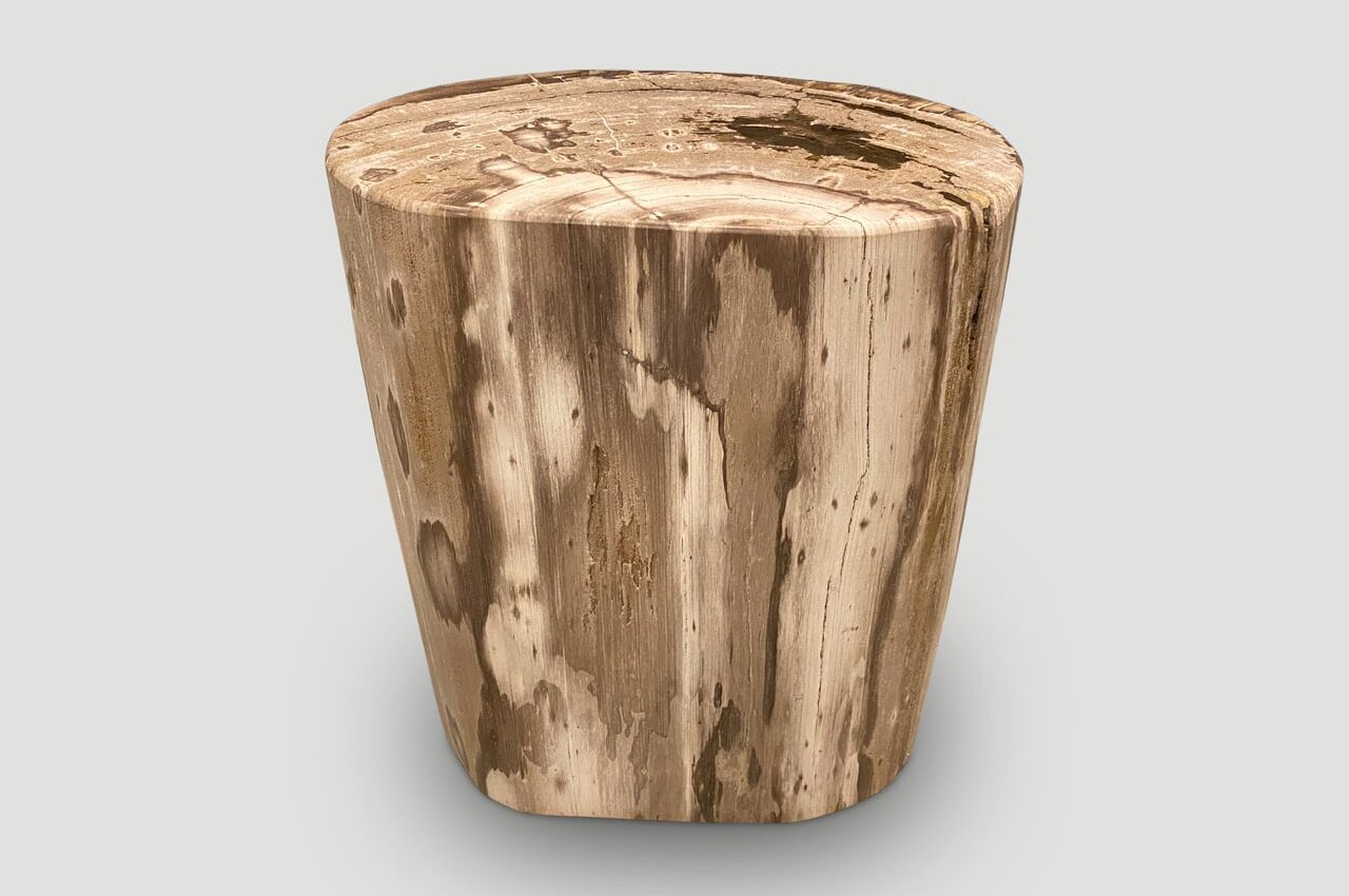 high quality petrified wood side table