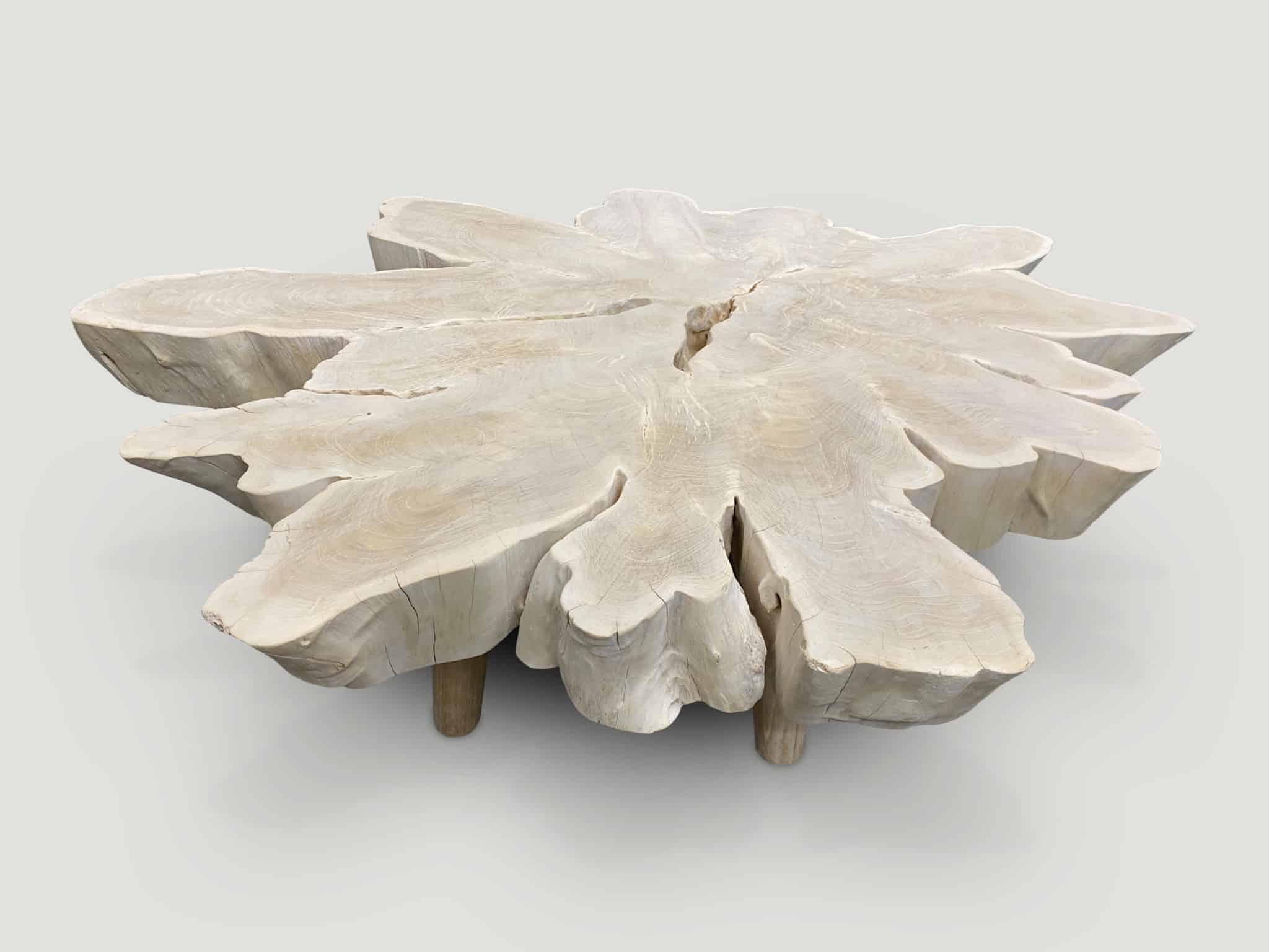 amorphous bleached teak wood organic coffee table