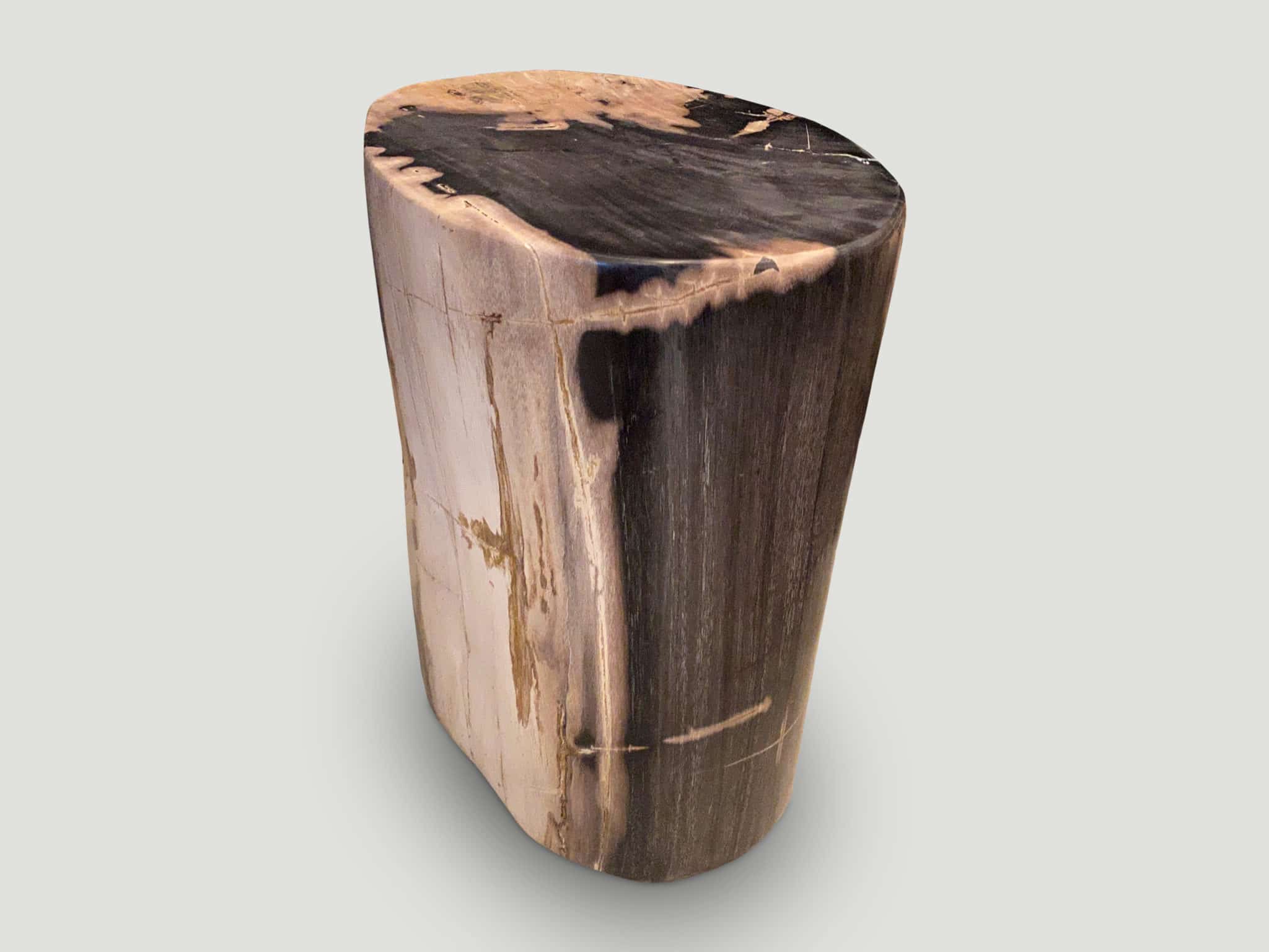 EXQUISITE HIGH QUALITY PETRIFIED WOOD SIDE TABLE