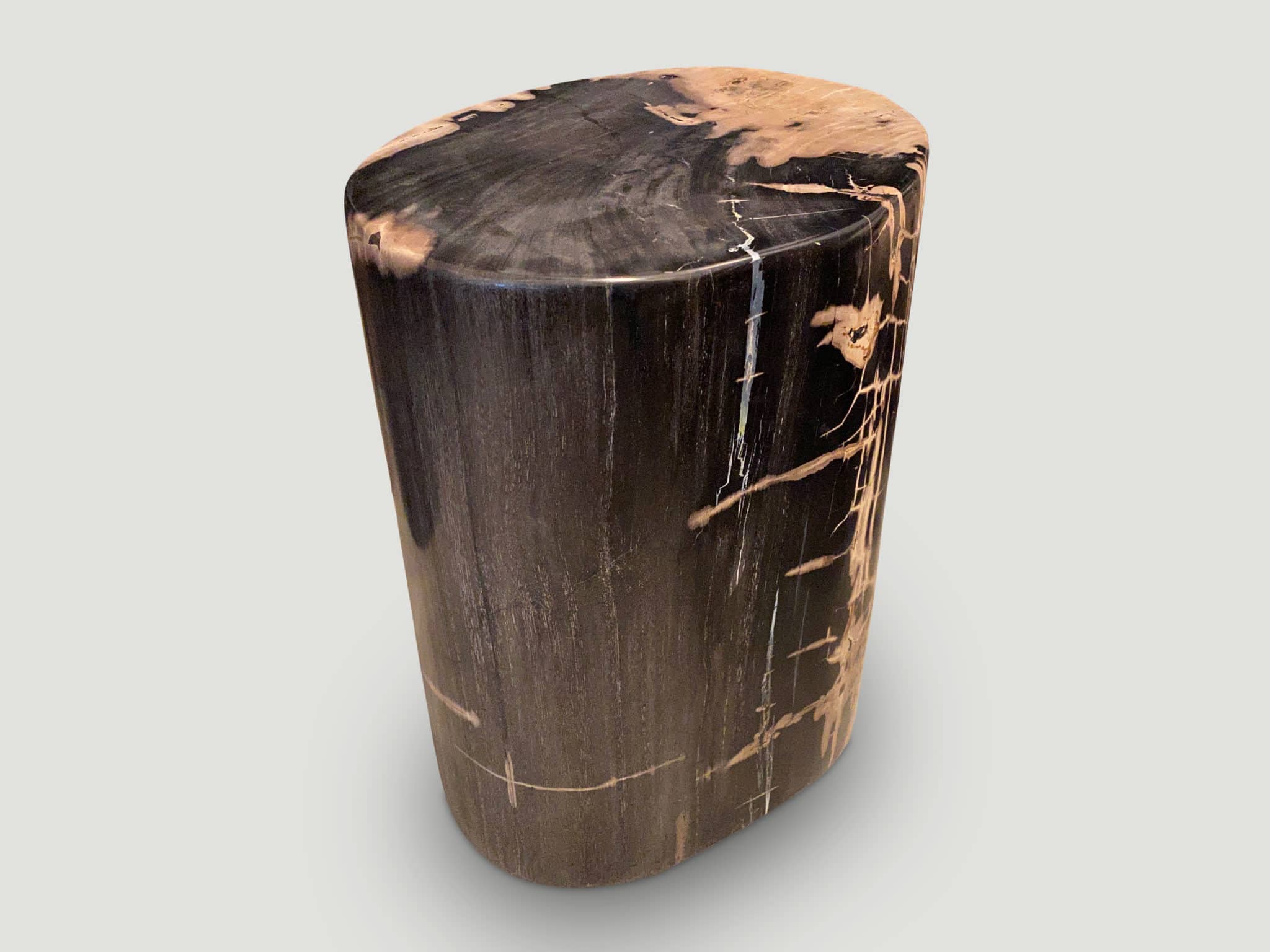 EXQUISITE HIGH QUALITY PETRIFIED WOOD SIDE TABLE