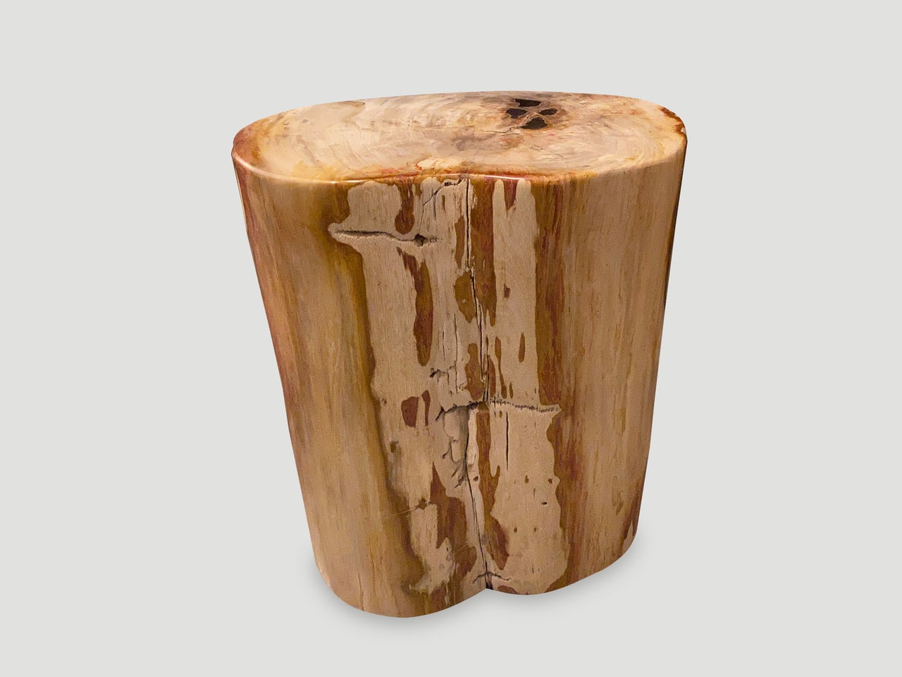 coral toned high quality petrified wood side table