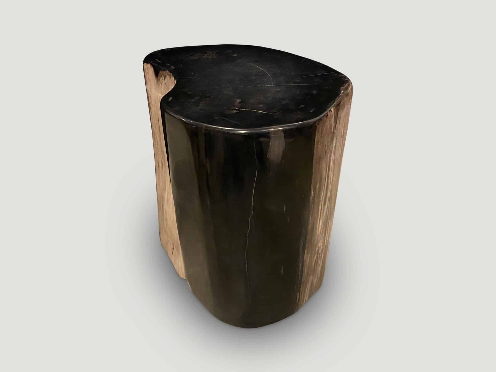 high quality super smooth petrified wood side table