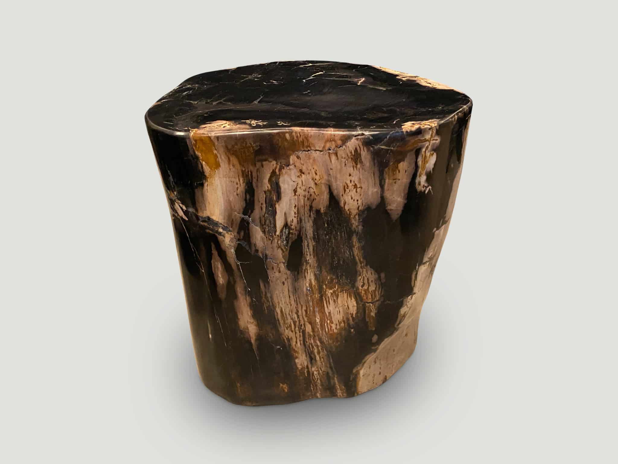 ancient petrified wood side table