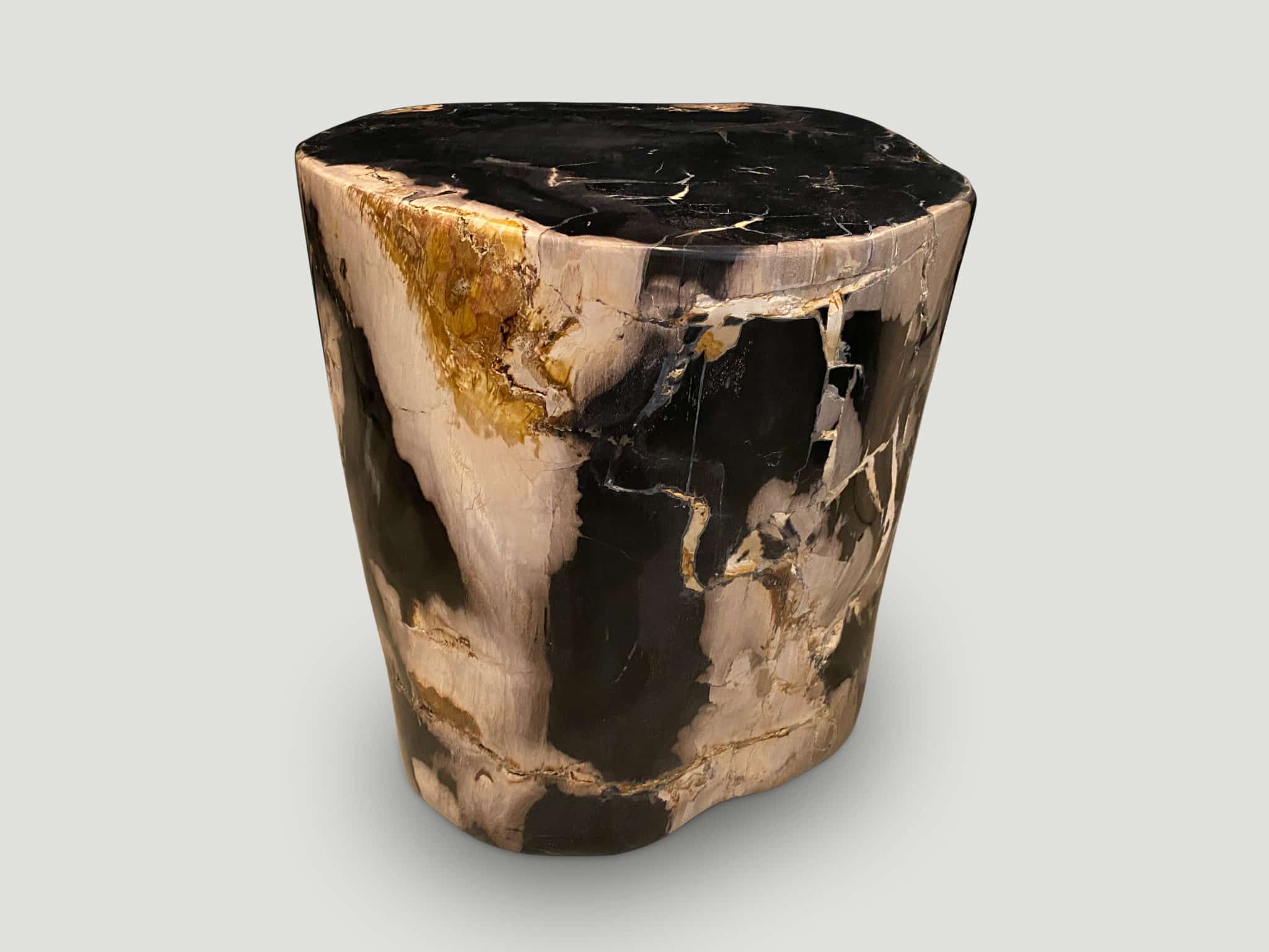 ancient petrified wood side table