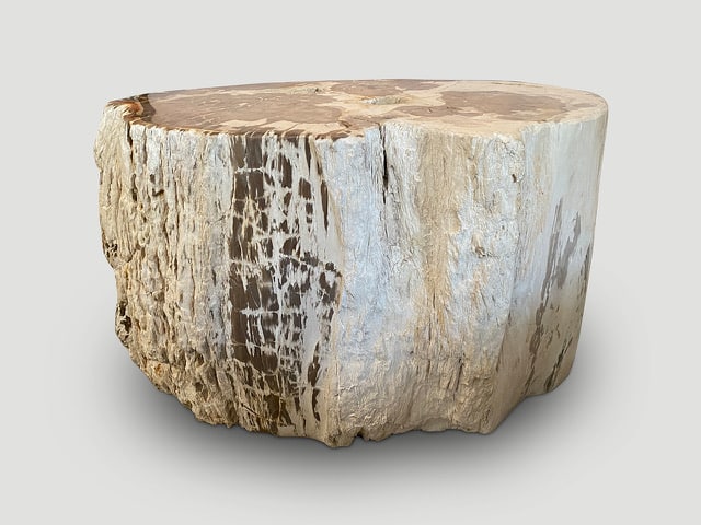 ANCIENT PETRIFIED WOOD SIDE TABLE