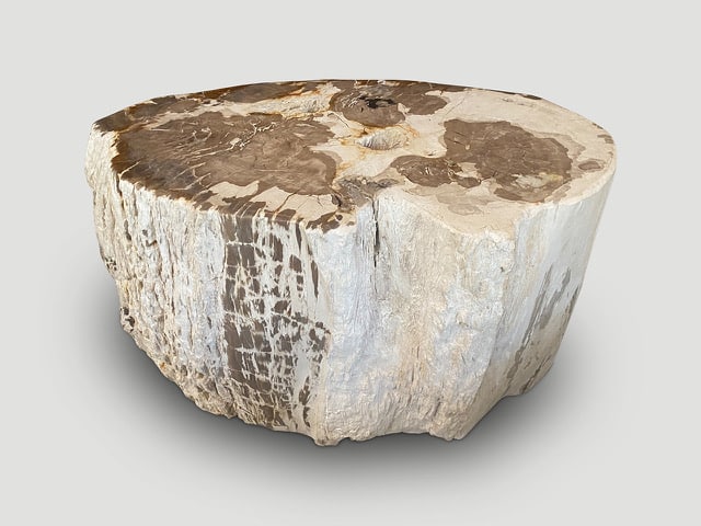 ANCIENT PETRIFIED WOOD SIDE TABLE