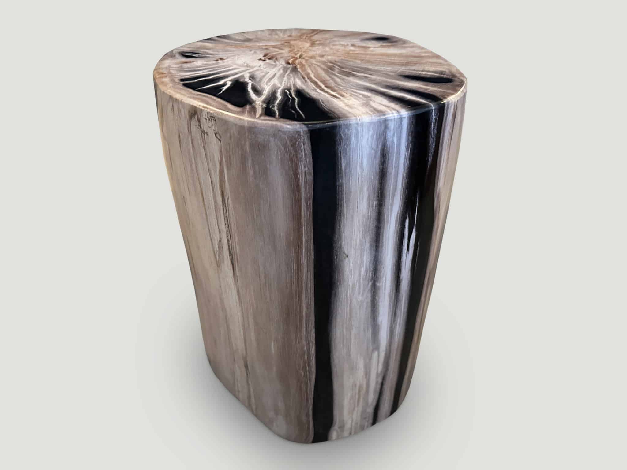 SUPER SMOOTH HIGH QUALITY PETRIFIED WOOD SIDE TABLE