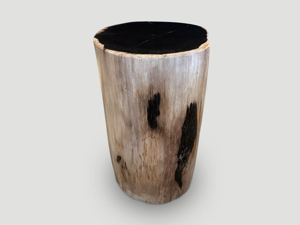SUPER SMOOTH HIGH QUALITY PETRIFIED WOOD SIDE TABLE