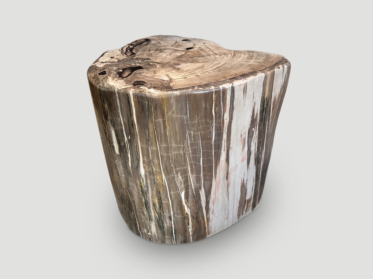 large ancient petrified wood side table