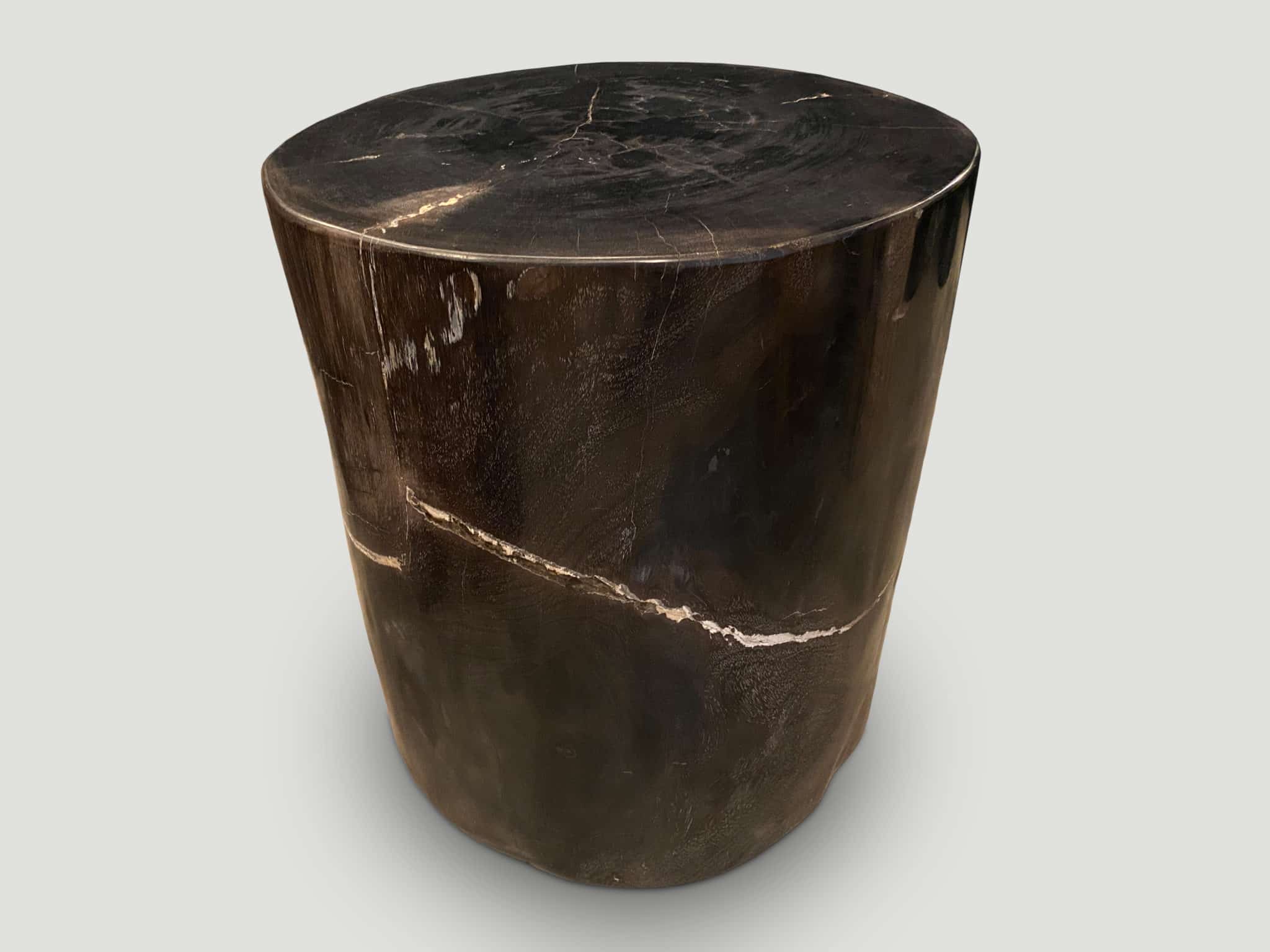 super smooth high quality petrified wood side table