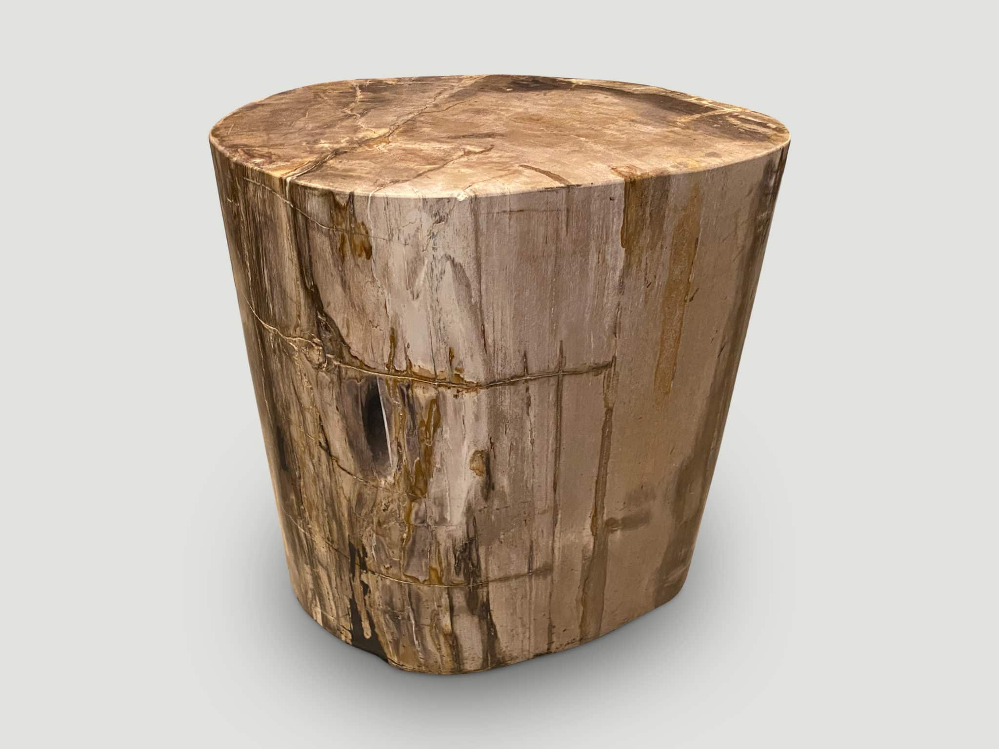 large ancient petrified wood side table