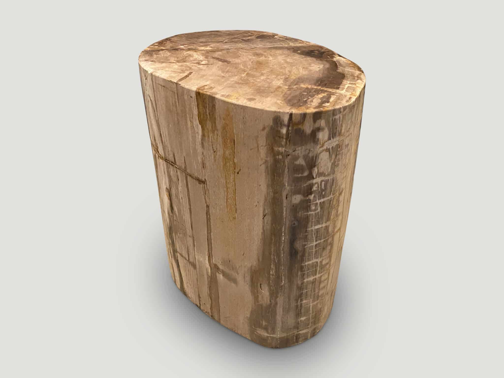 large ancient petrified wood side table