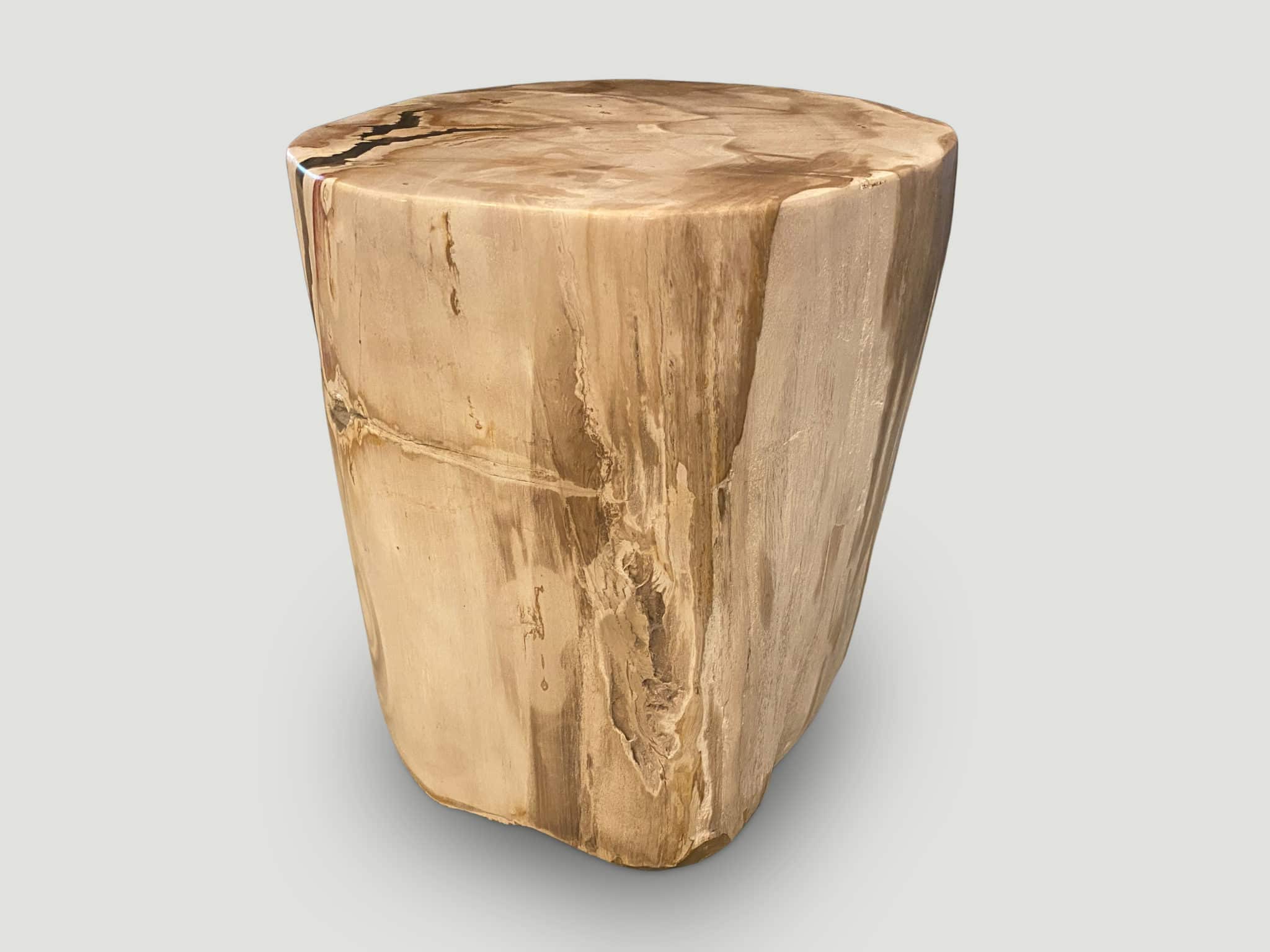 Impressive High Quality Petrified Wood Side Table