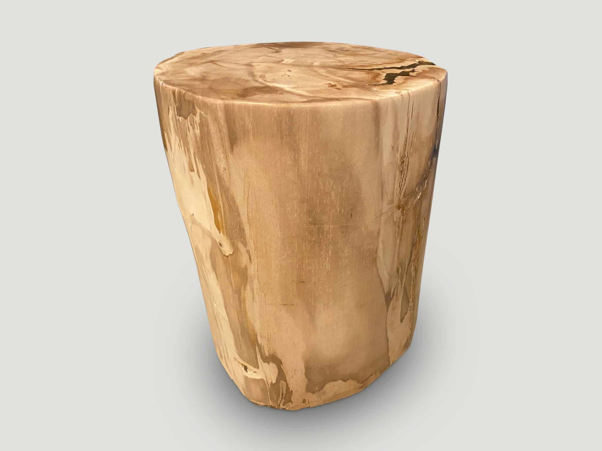 Impressive High Quality Petrified Wood Side Table