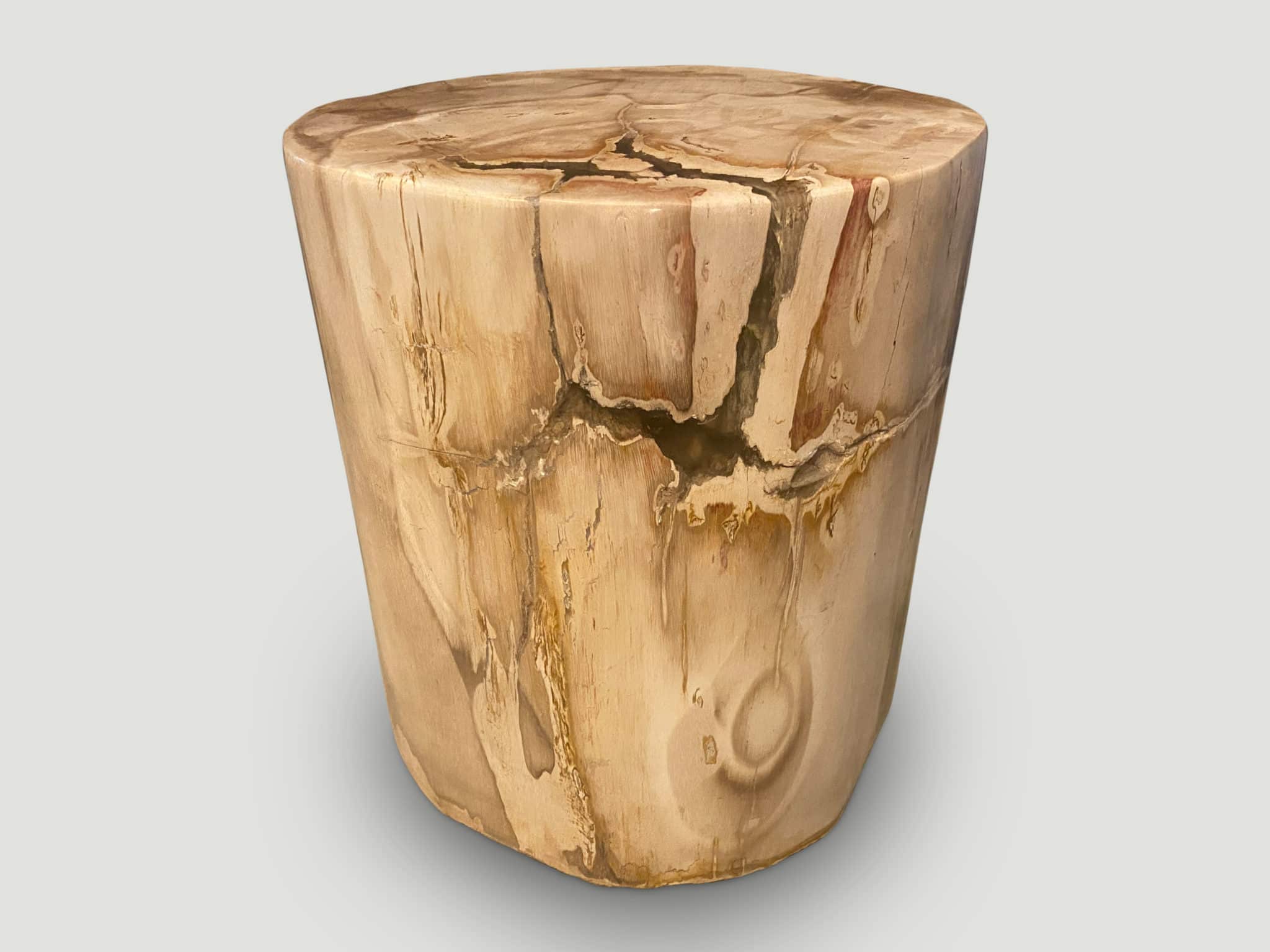 Impressive High Quality Petrified Wood Side Table 271V - Andrianna