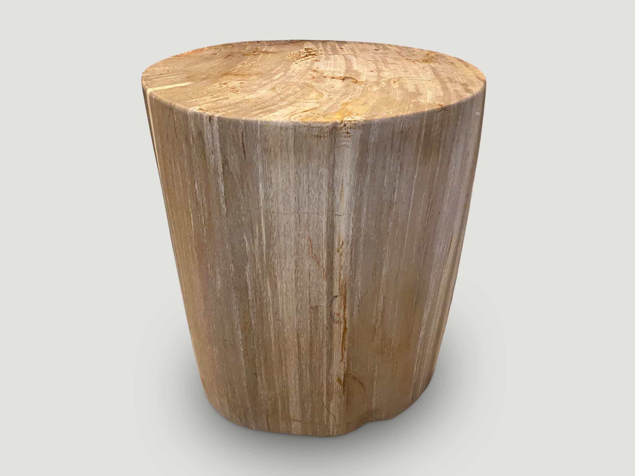 NEUTRAL TONED HIGH QUALITY PETRIFIED WOOD SIDE TABLE