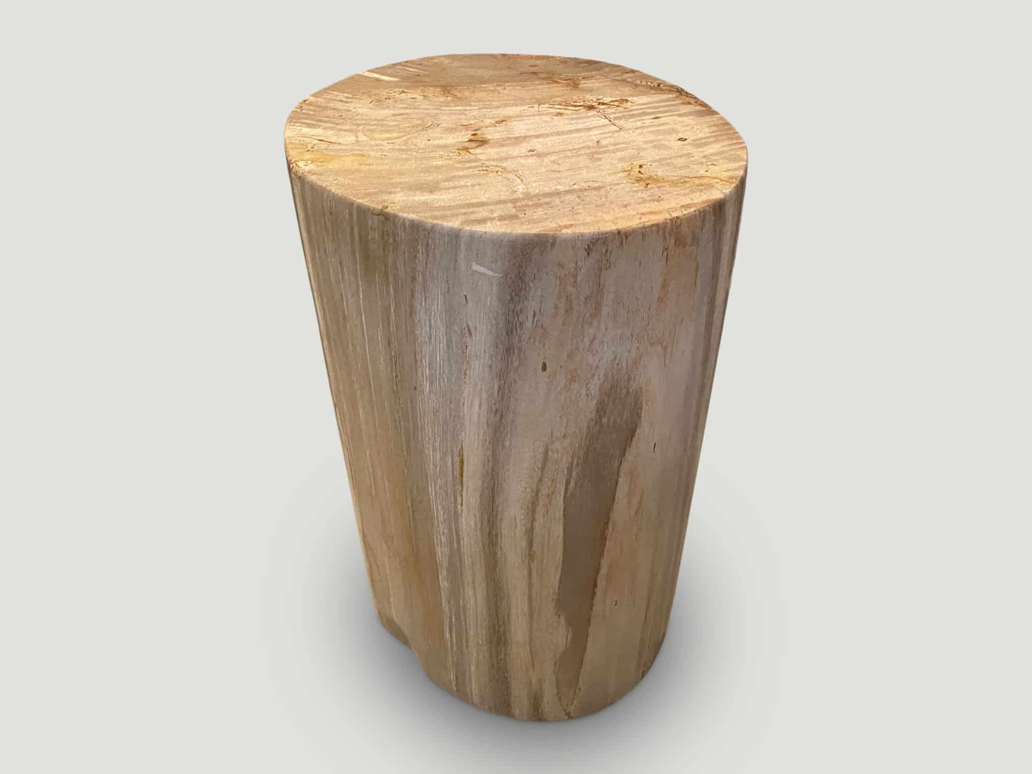 NEUTRAL TONED HIGH QUALITY PETRIFIED WOOD SIDE TABLE