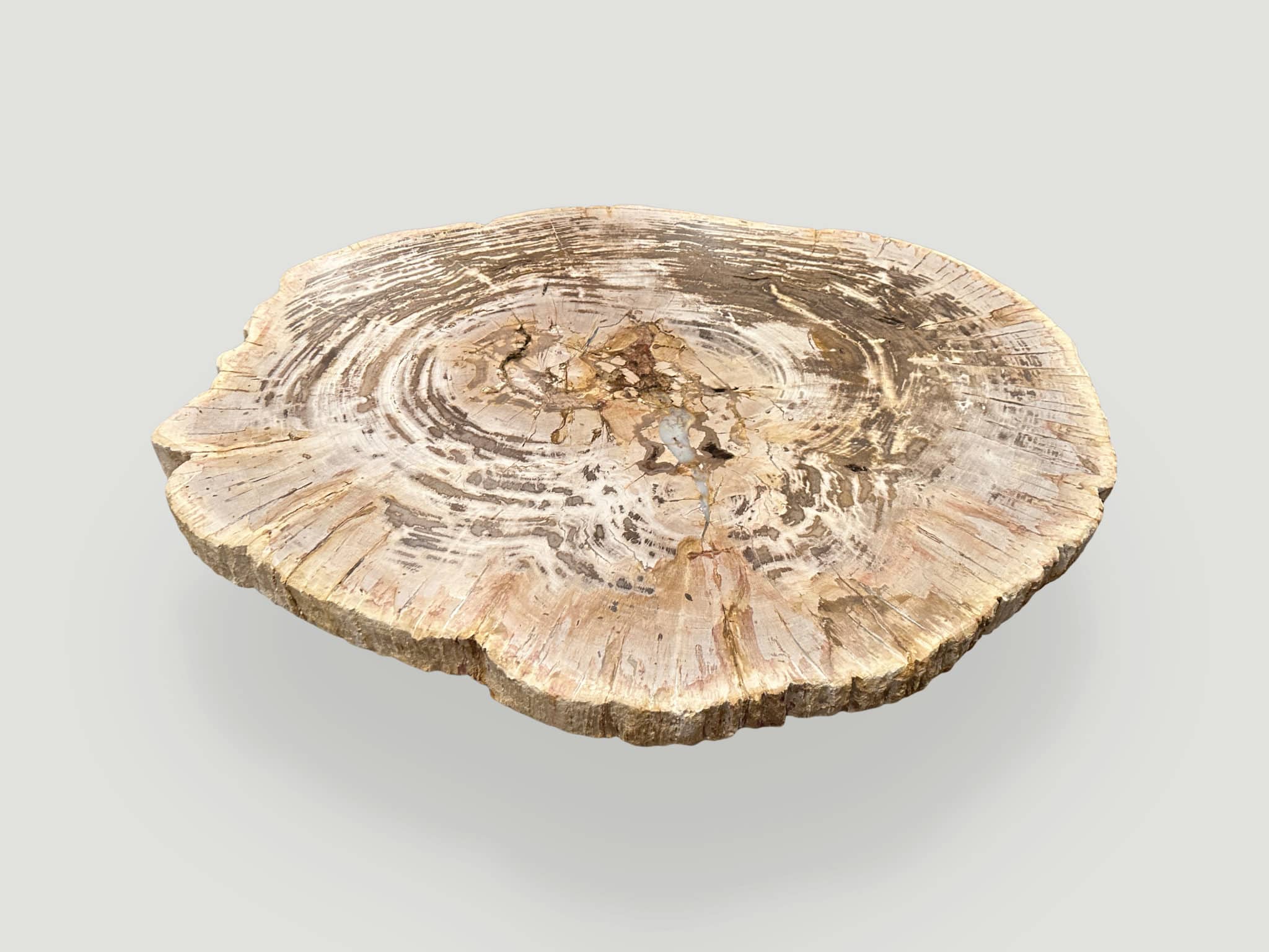 high quality petrified wood slab coffee table
