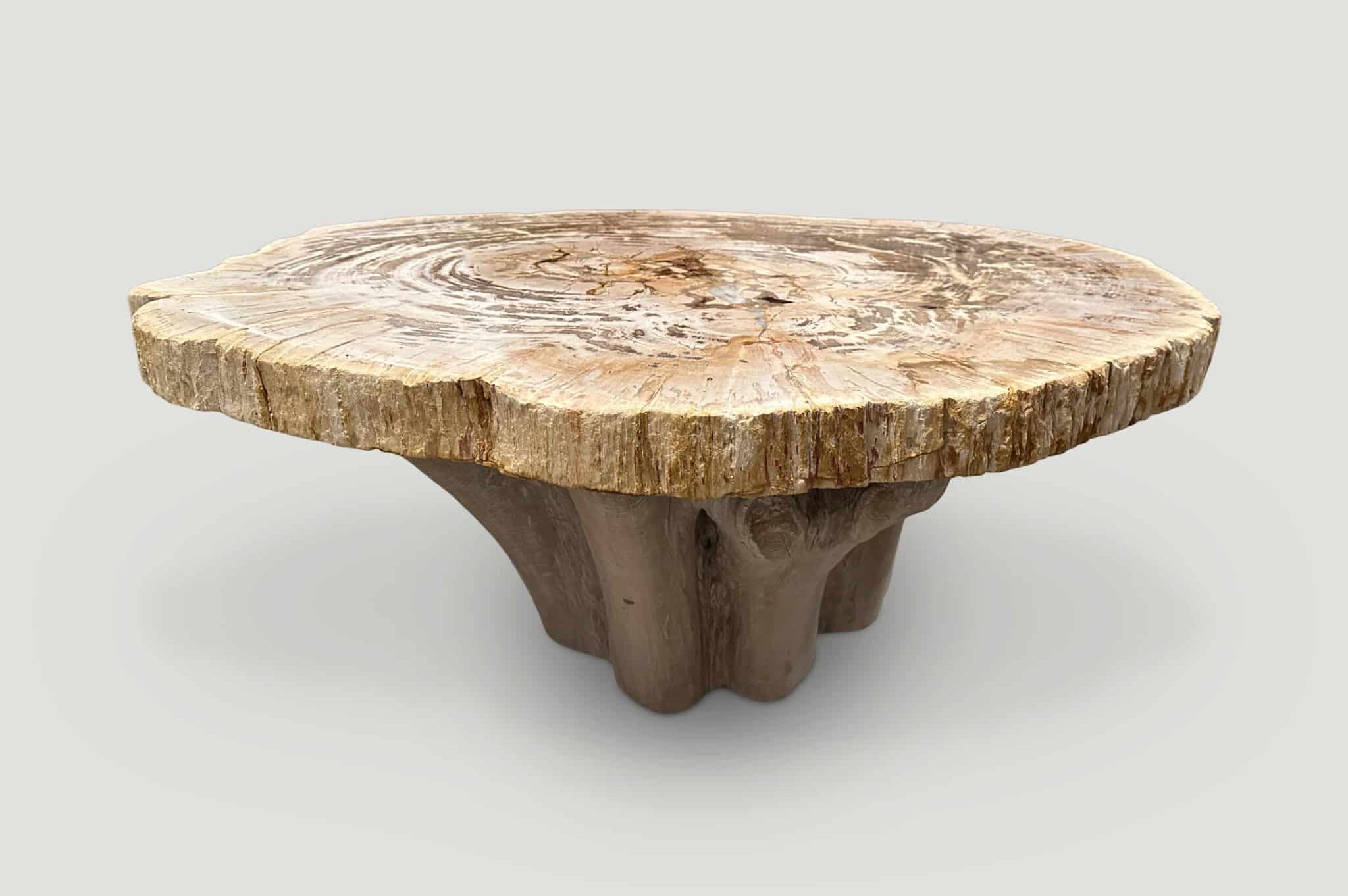 high quality petrified wood slab coffee table