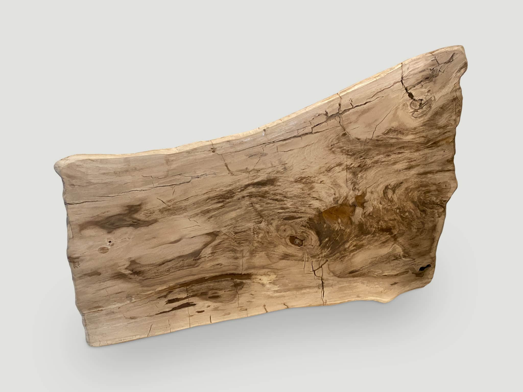 live edge petrified wood coffee table