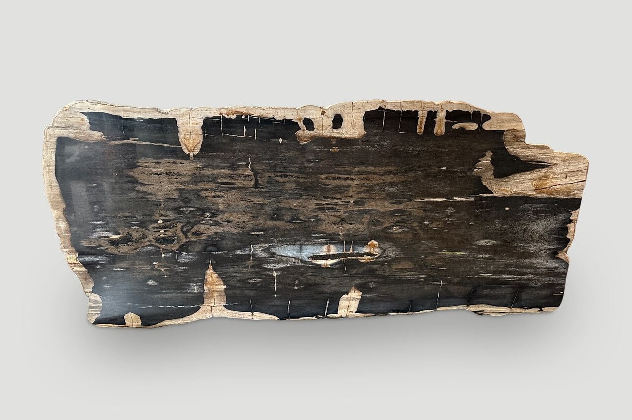 petrified wood dining table or coffee table