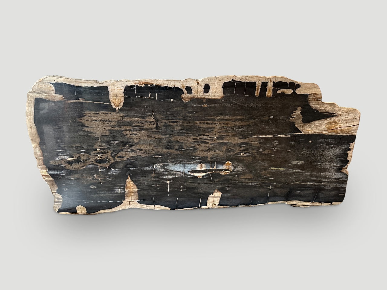 petrified wood dining table or coffee table