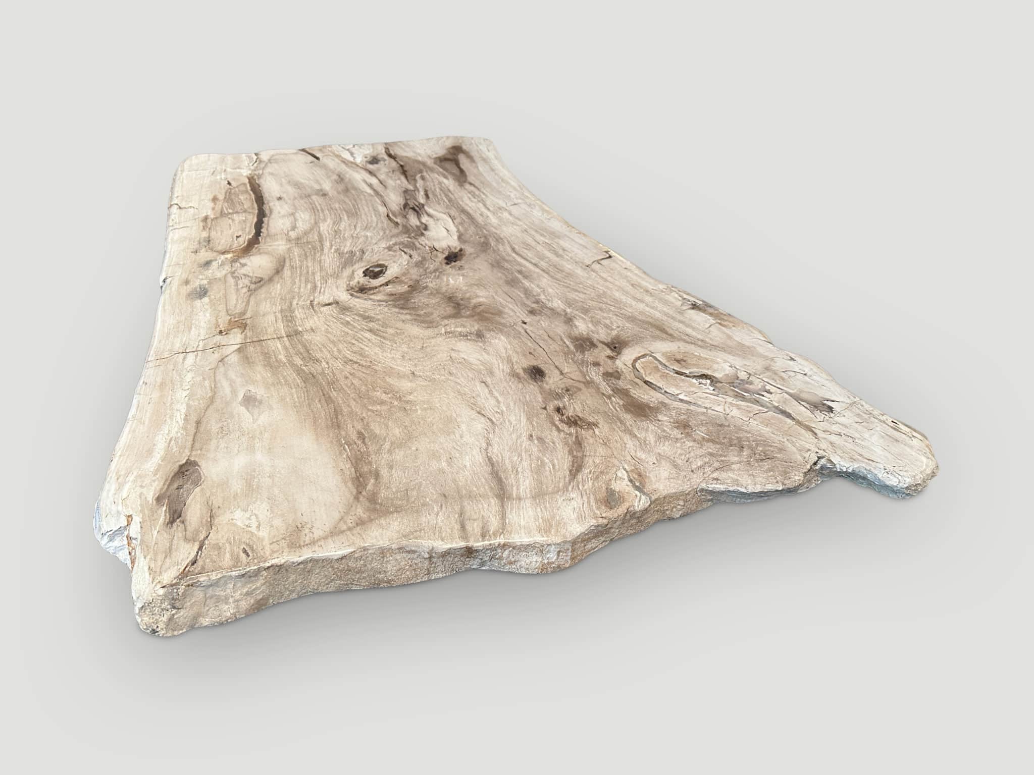 live edge petrified wood coffee table