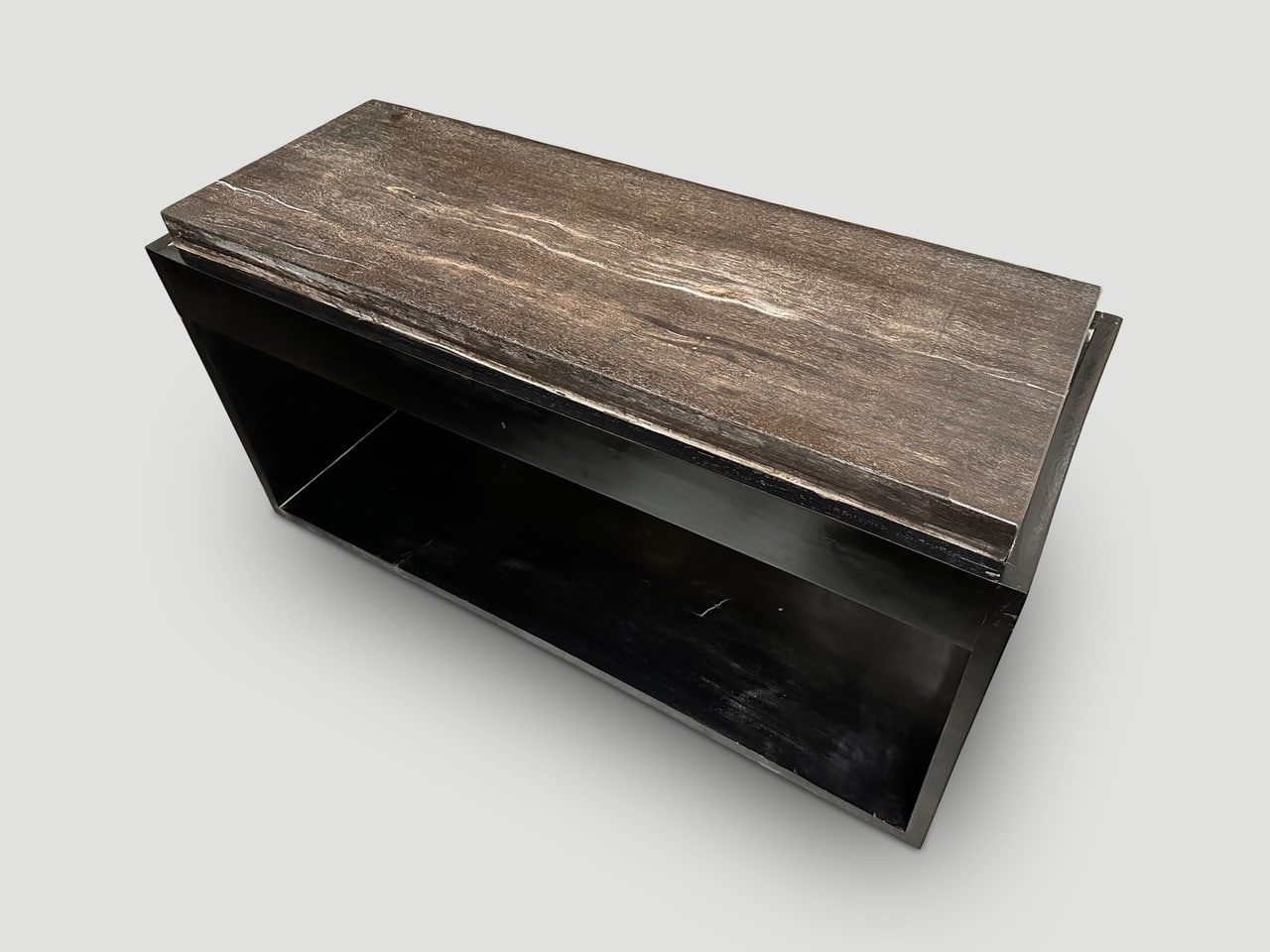 super smooth petrified wood coffee table