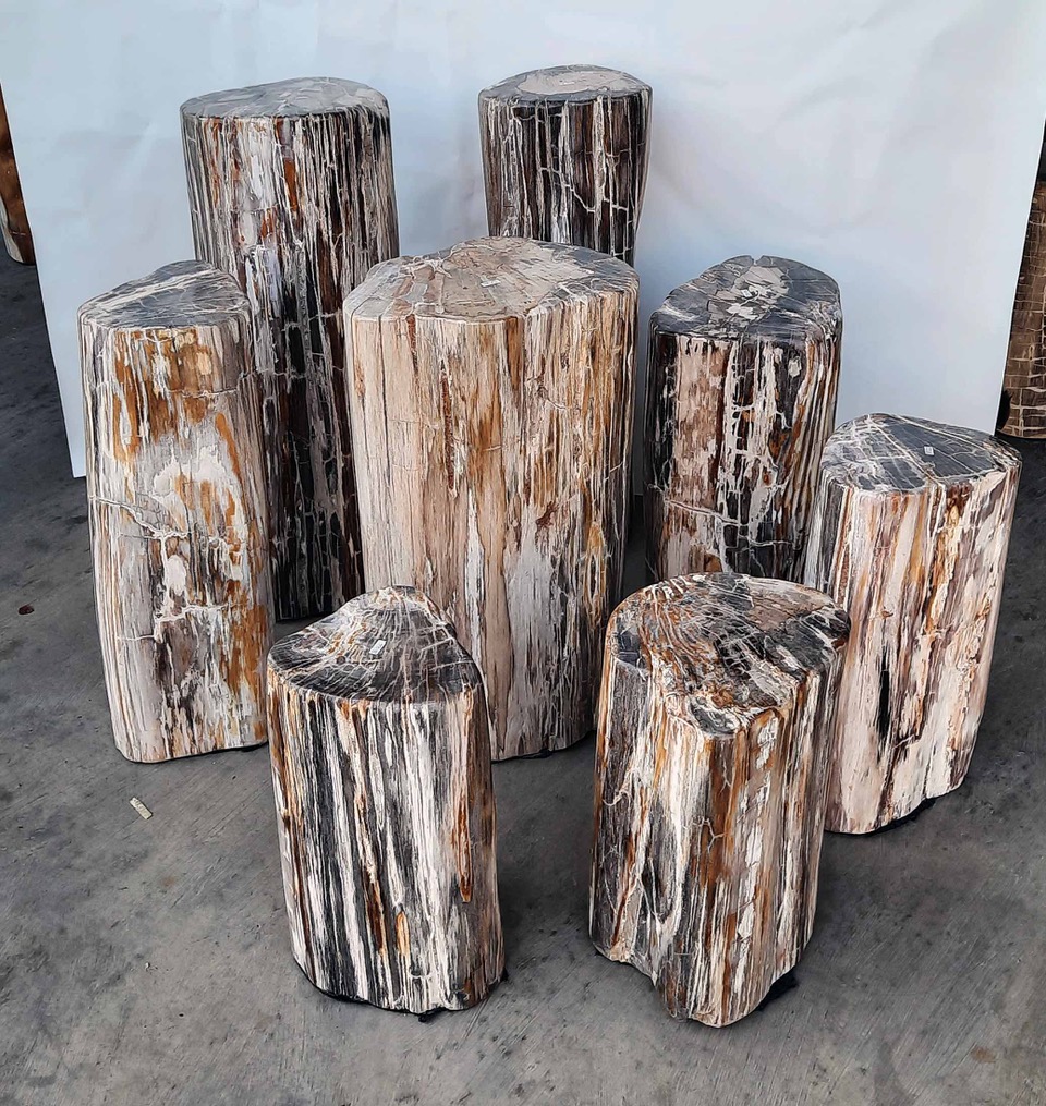 set of petrified wood side tables