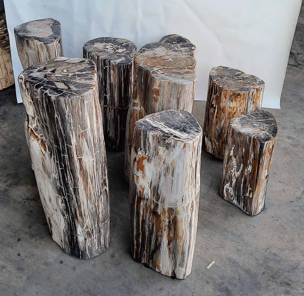set of petrified wood side tables