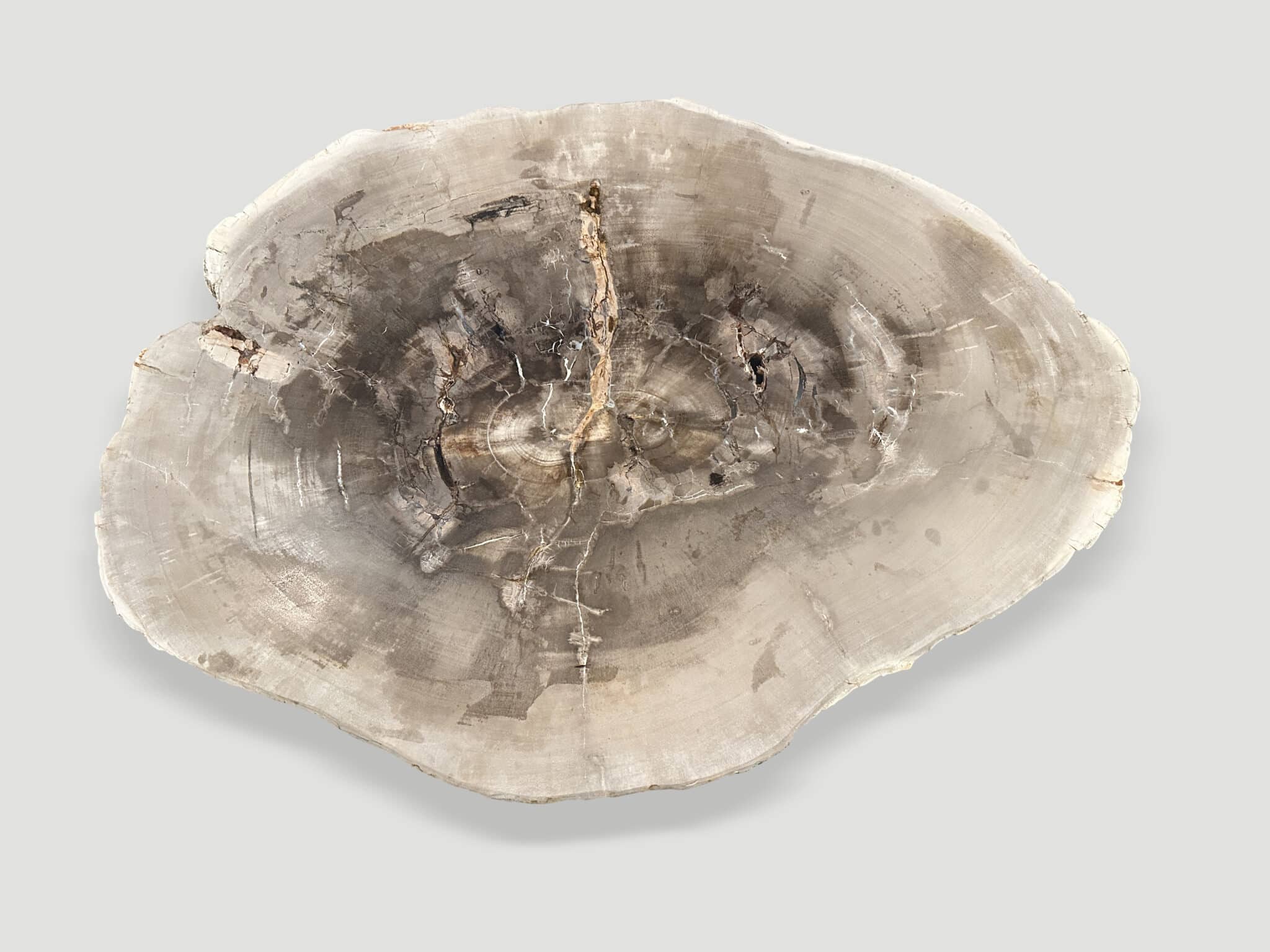 high quality petrified wood two inch slab coffee table