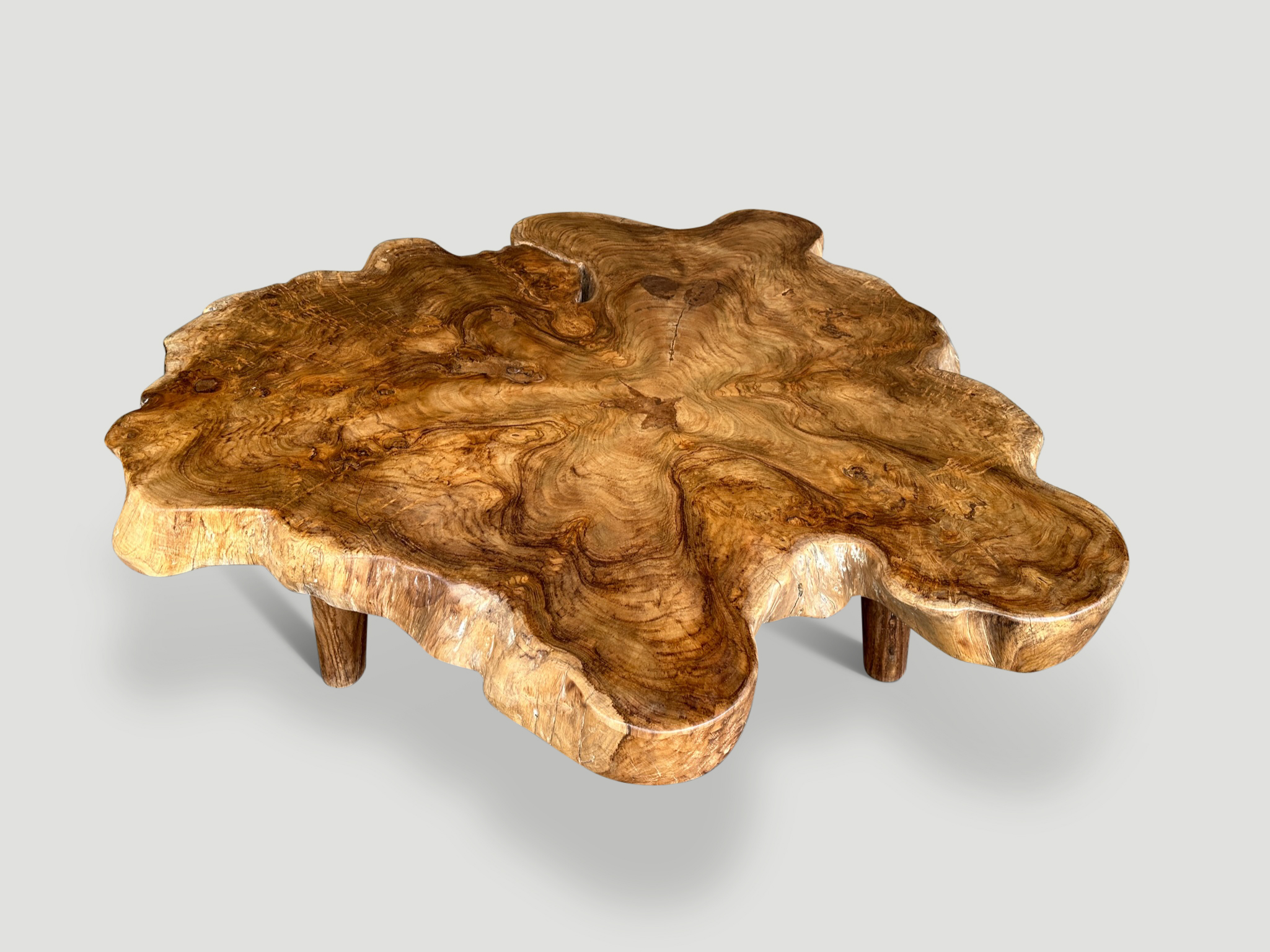 live edge slice of indian teak wood burl wood with high grains for casting  craft